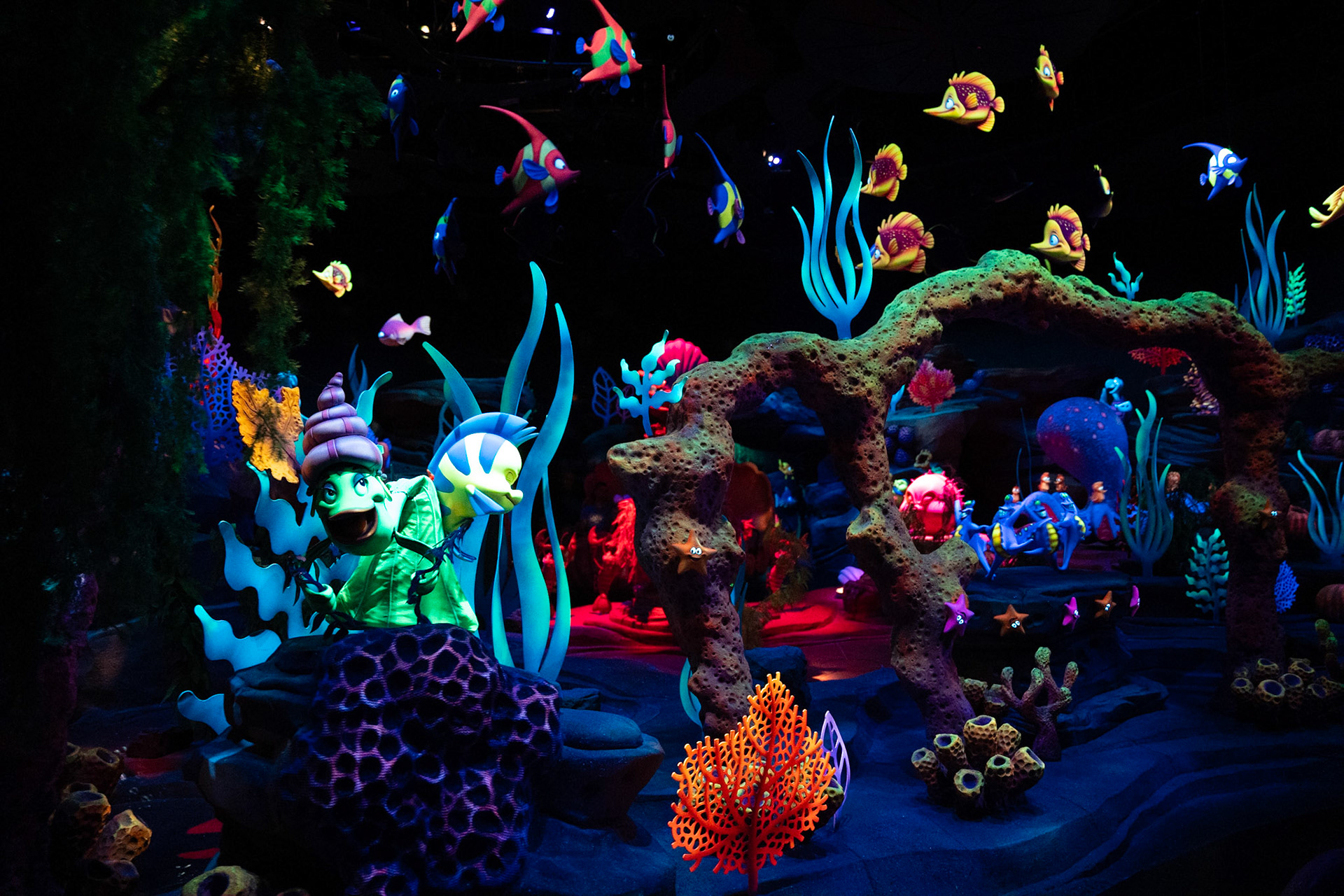 Photo by Jon Roost (www.jonroostphotos.com)