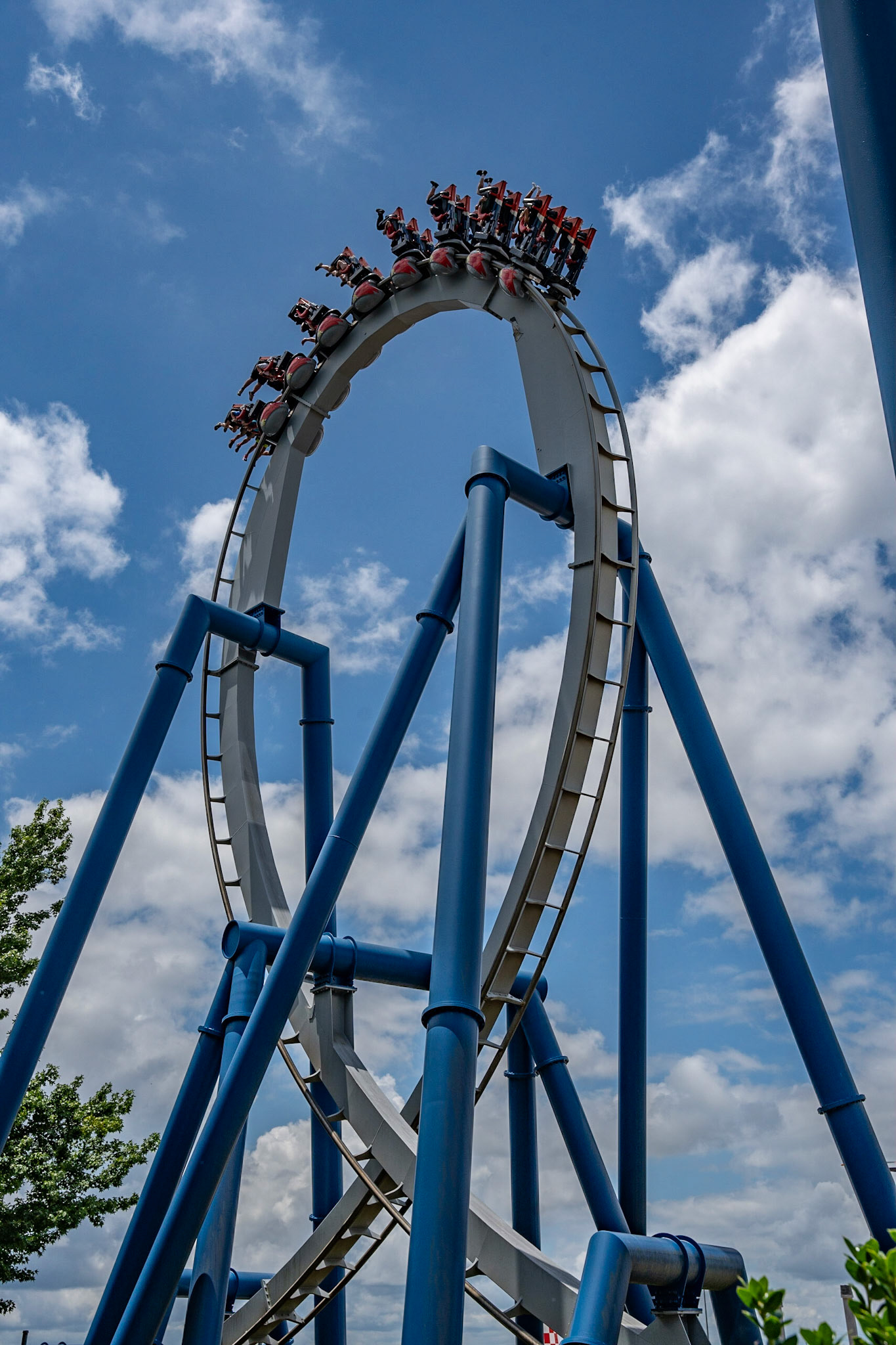 Photo by Jon Roost (www.jonroostphotos.com)