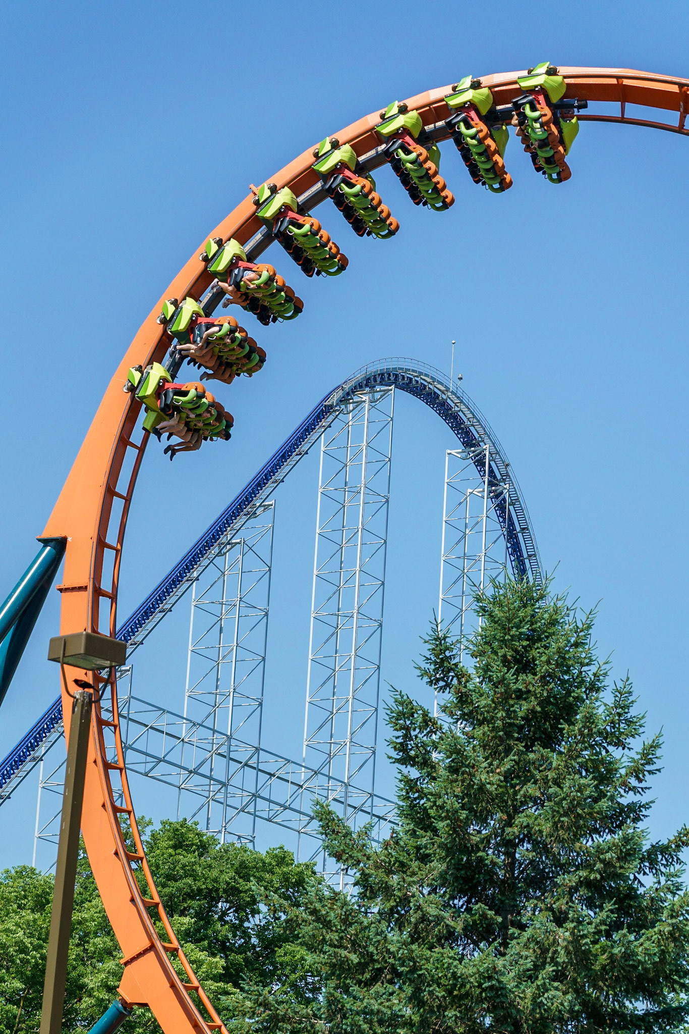 Photo by Jon Roost (www.jonroostphotos.com)