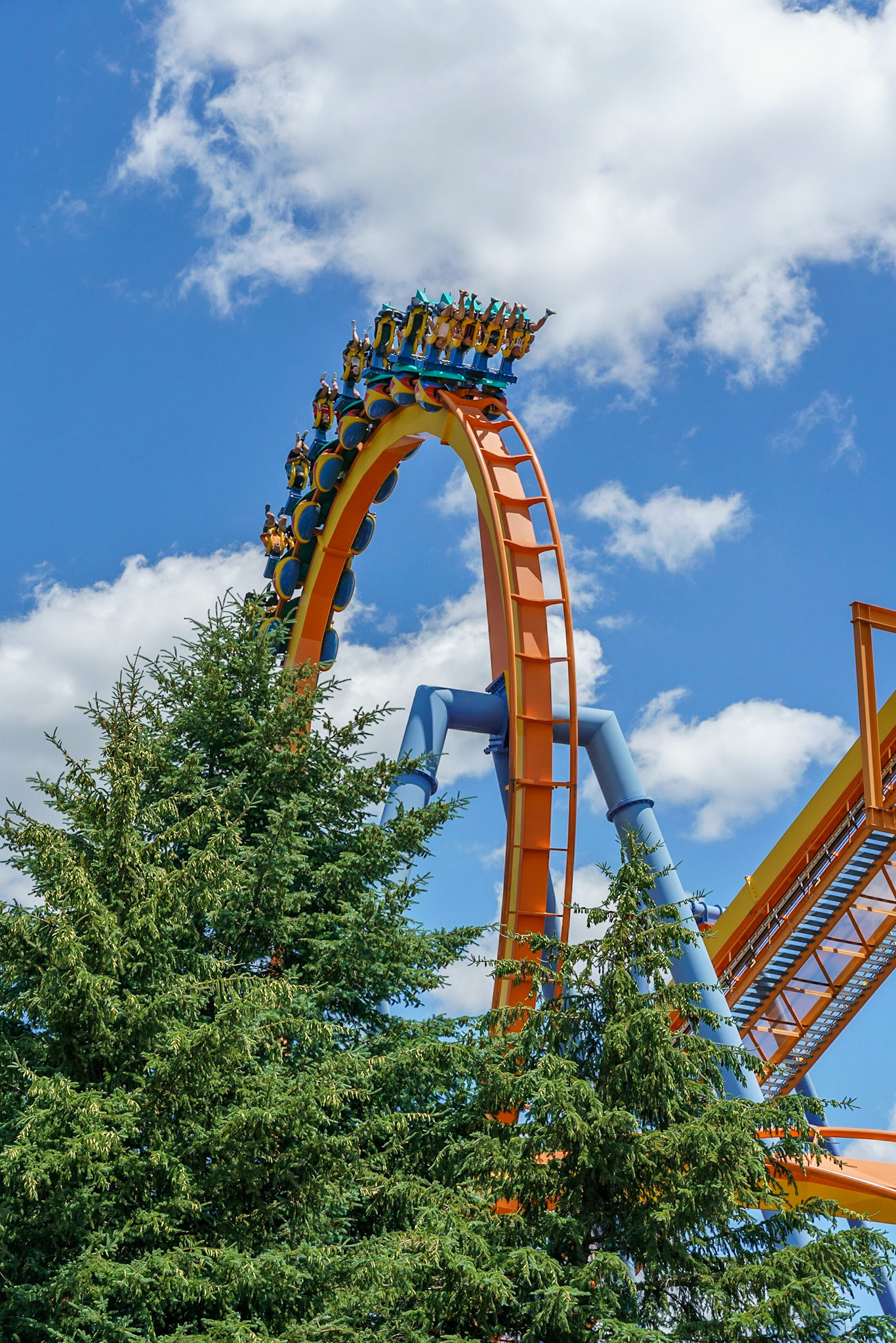 Photo by Jon Roost (www.jonroostphotos.com)