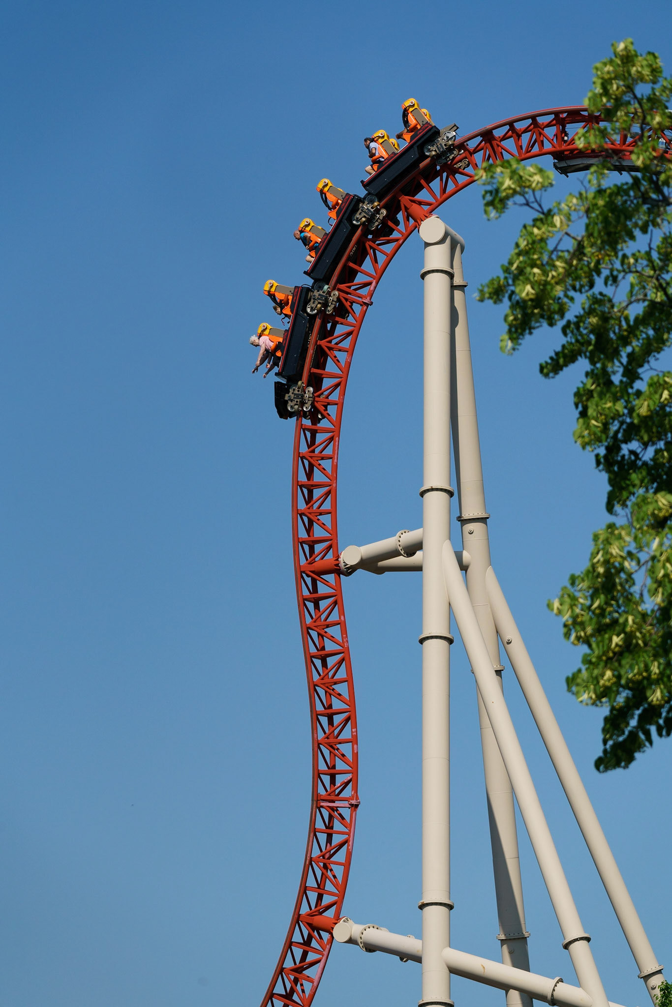 Photo by Jon Roost (www.jonroostphotos.com)