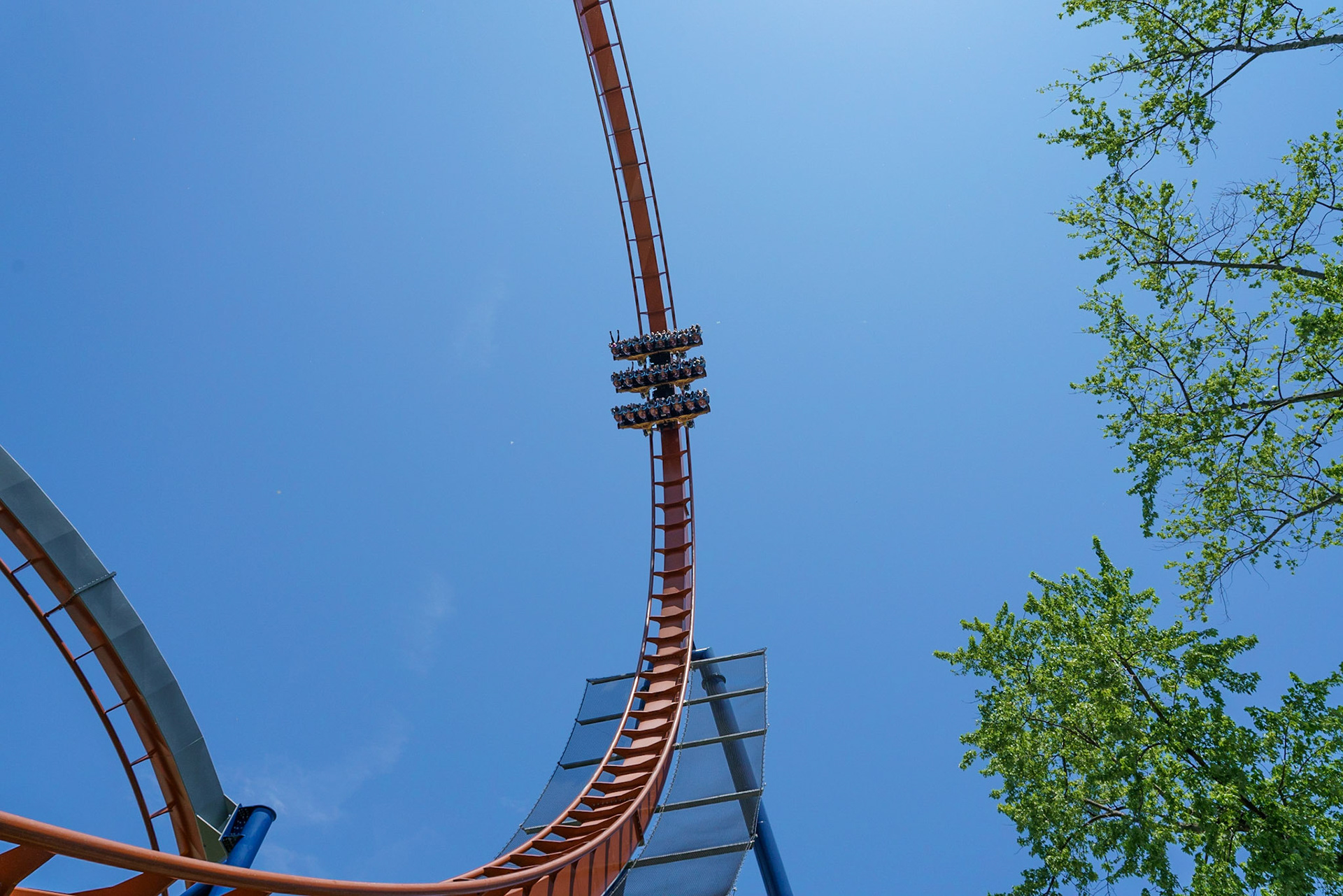 Photo by Jon Roost (www.jonroostphotos.com)