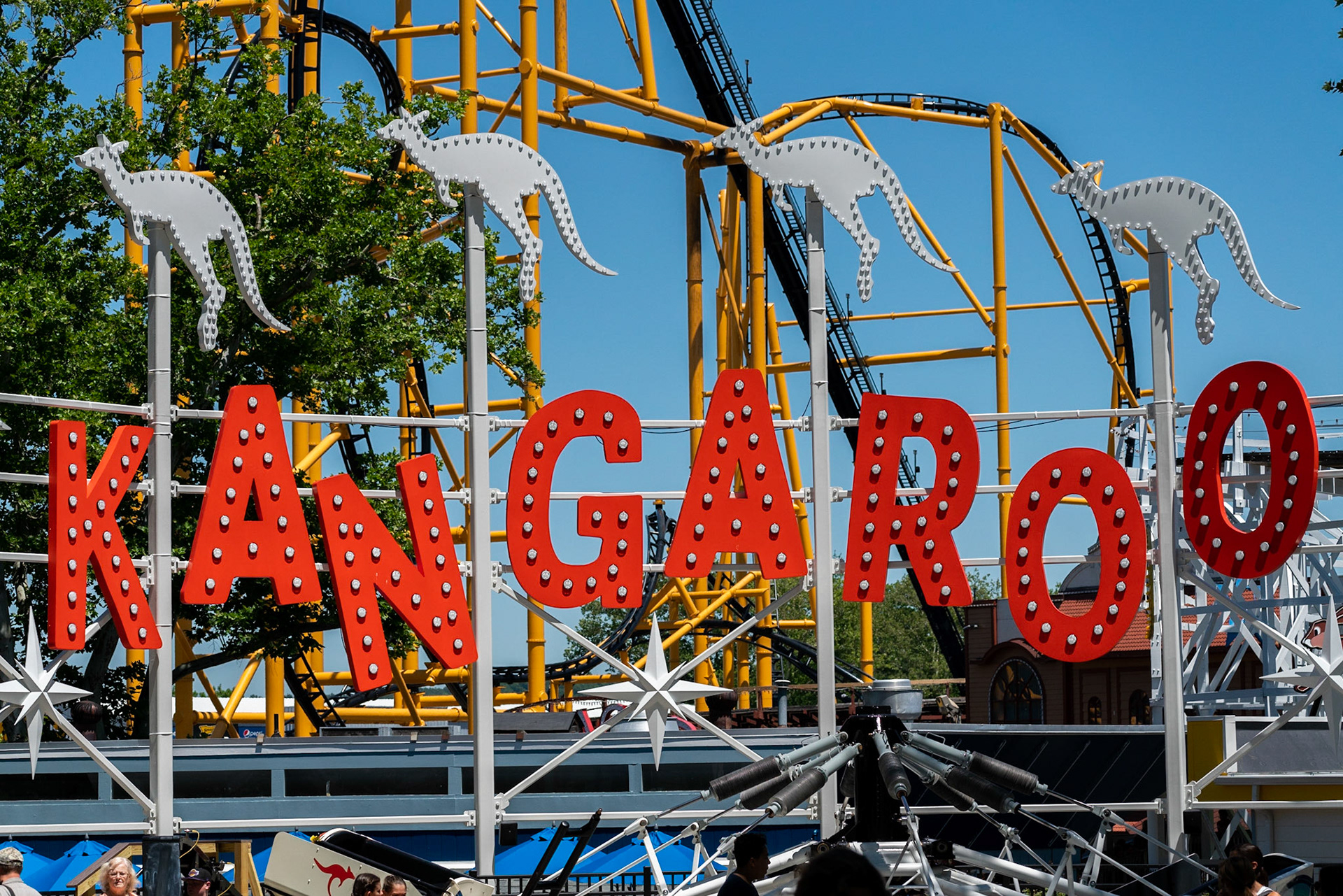 Photo by Jon Roost (www.jonroostphotos.com)