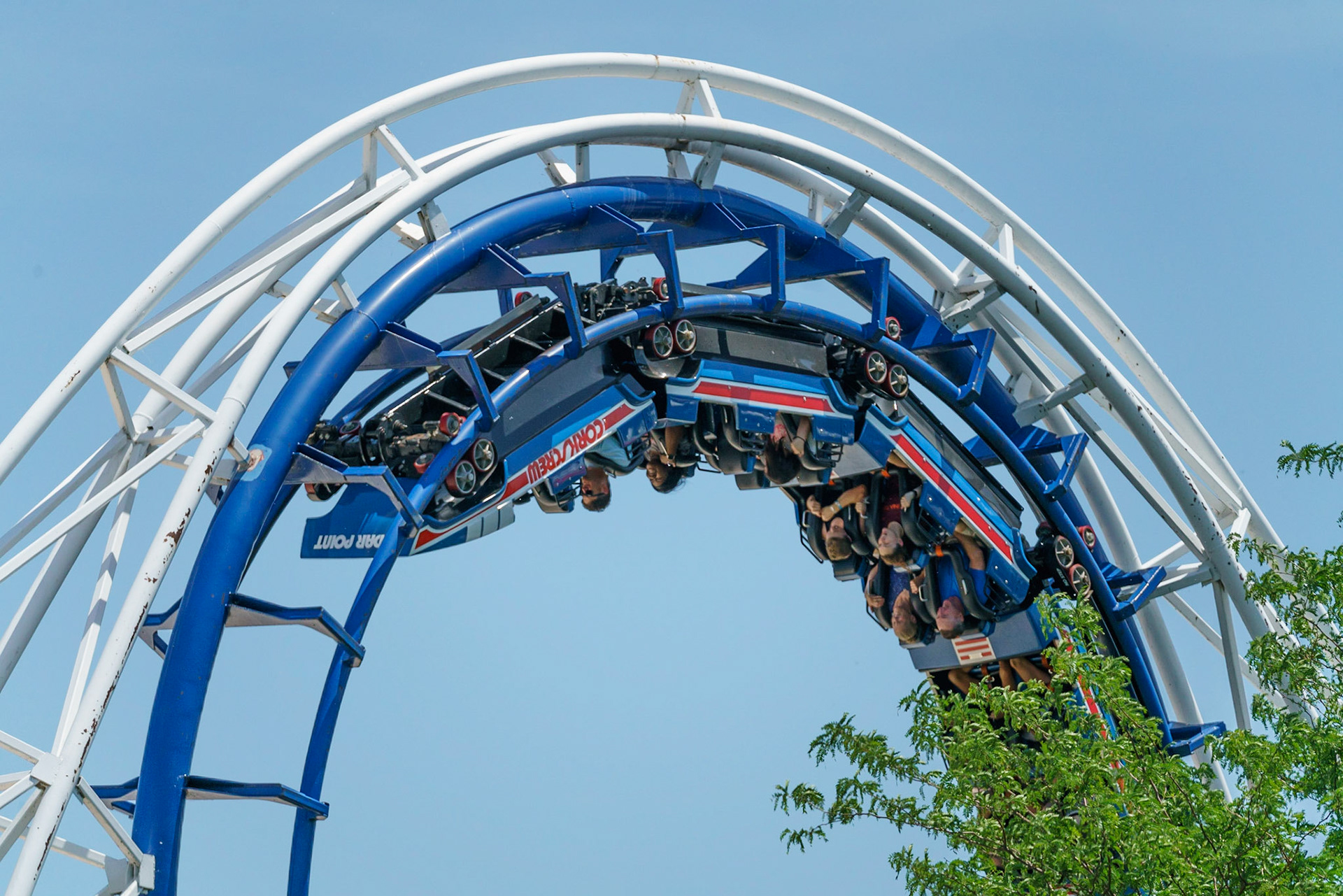 Photo by Jon Roost (www.jonroostphotos.com)