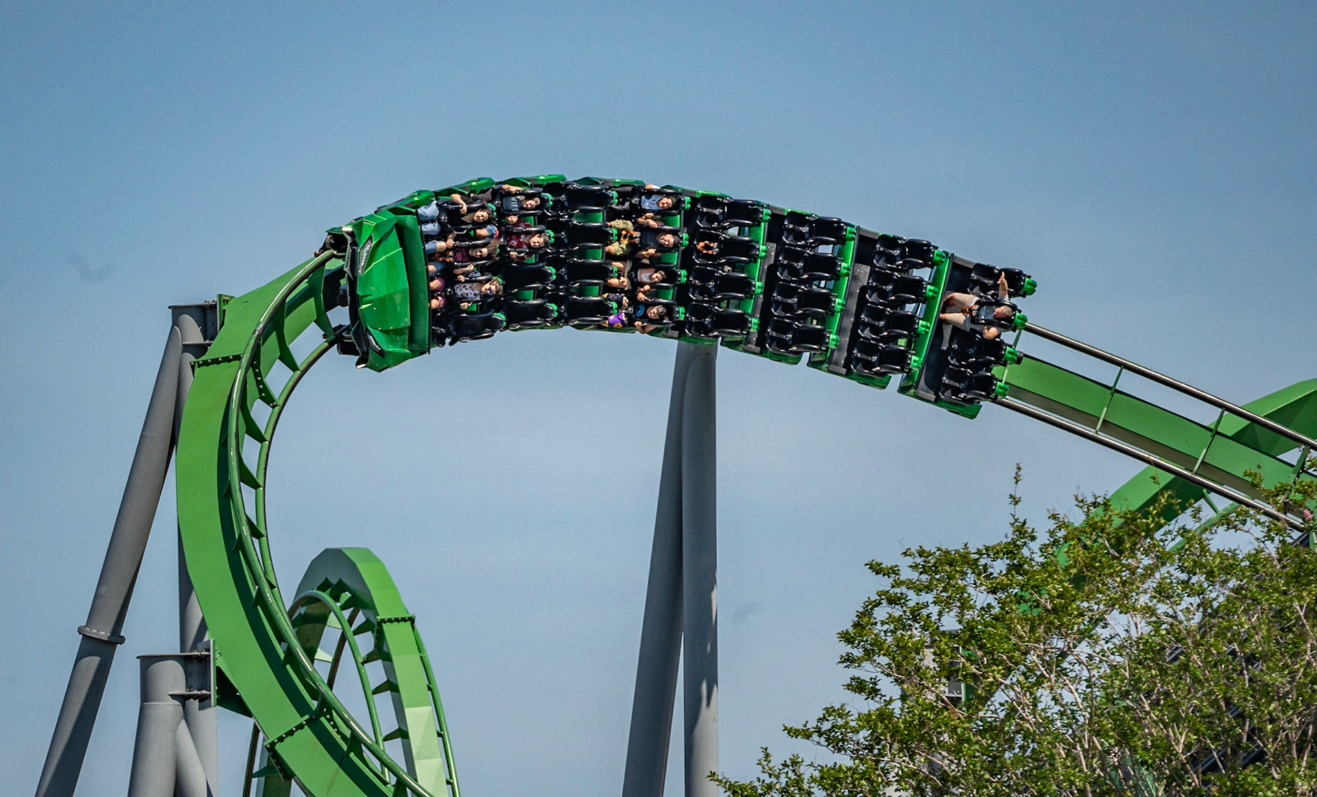 Photo by Jon Roost (www.jonroostphotos.com)