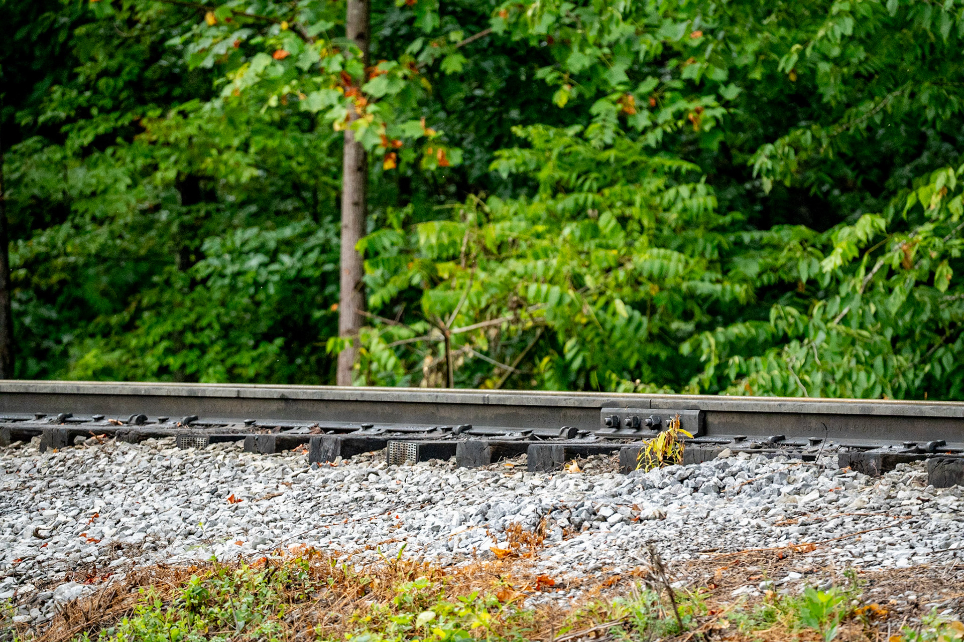 Photo by Jon Roost (www.jonroostphotos.com)