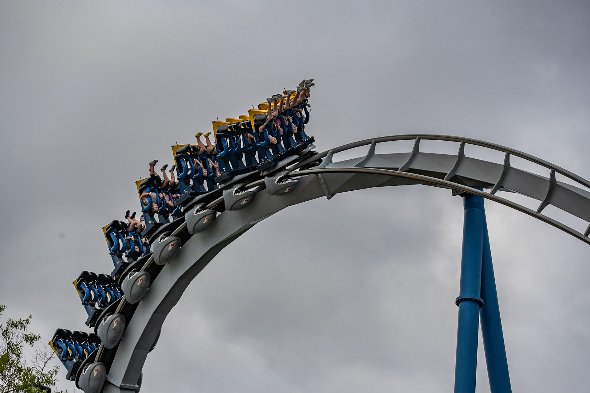 Photo by Jon Roost (www.jonroostphotos.com)