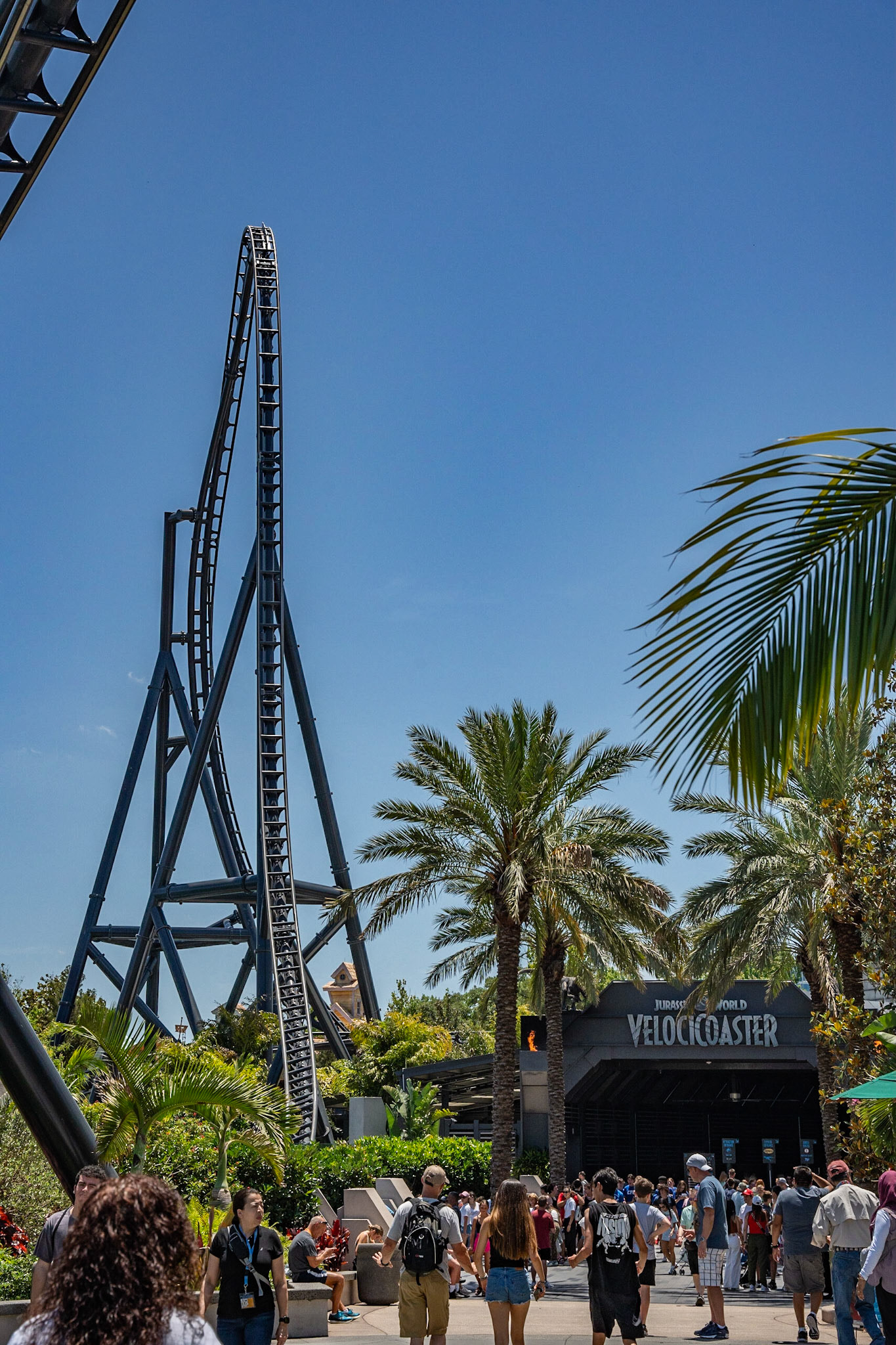 Photo by Jon Roost (www.jonroostphotos.com)