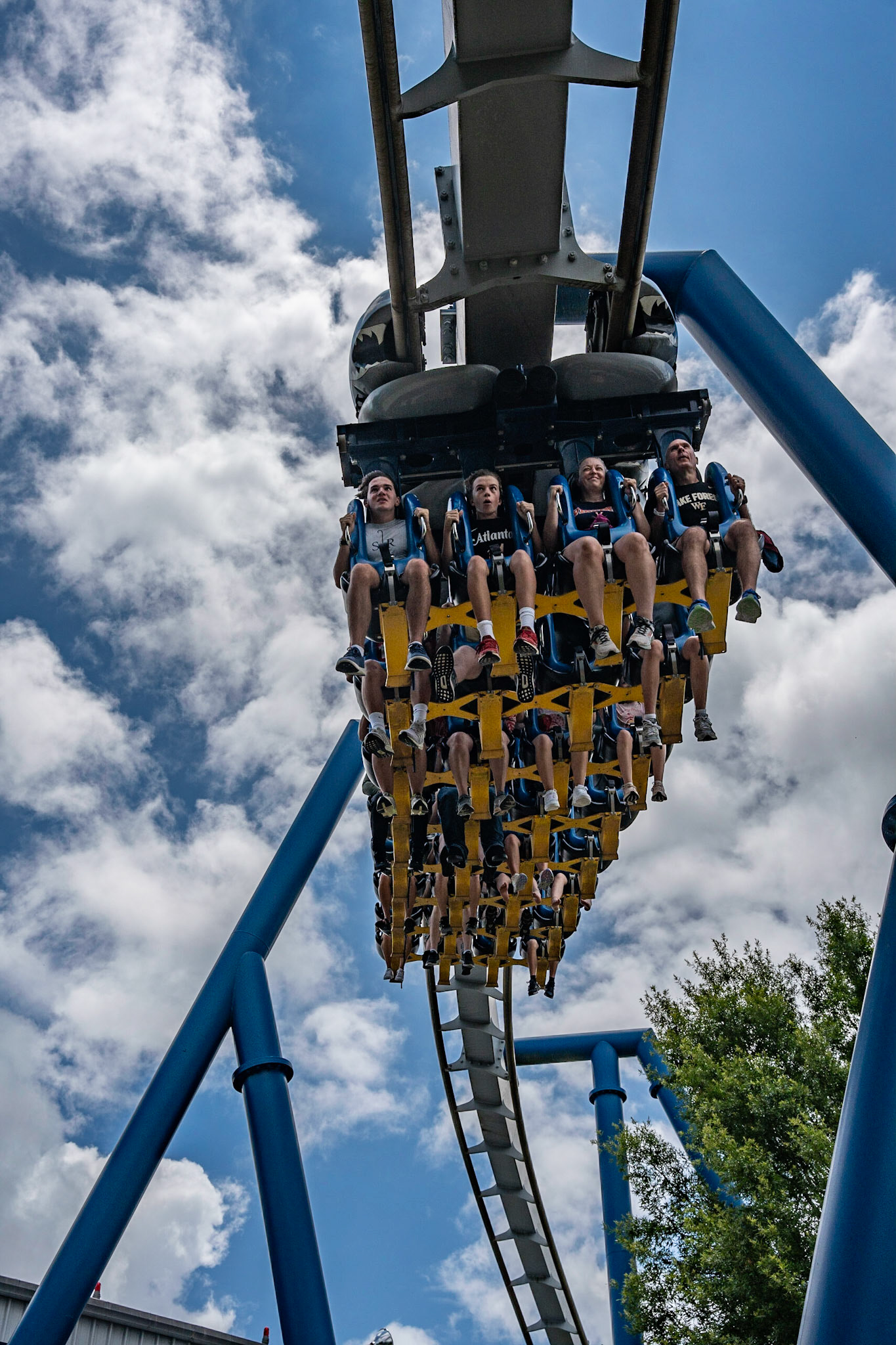 Photo by Jon Roost (www.jonroostphotos.com)