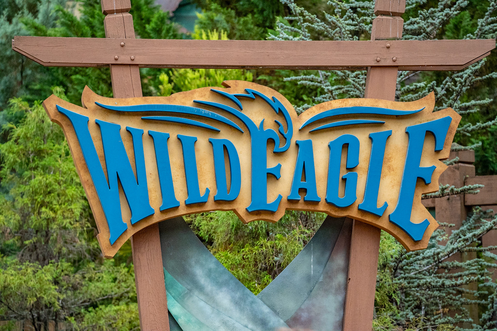 Photo by Jon Roost (www.jonroostphotos.com)