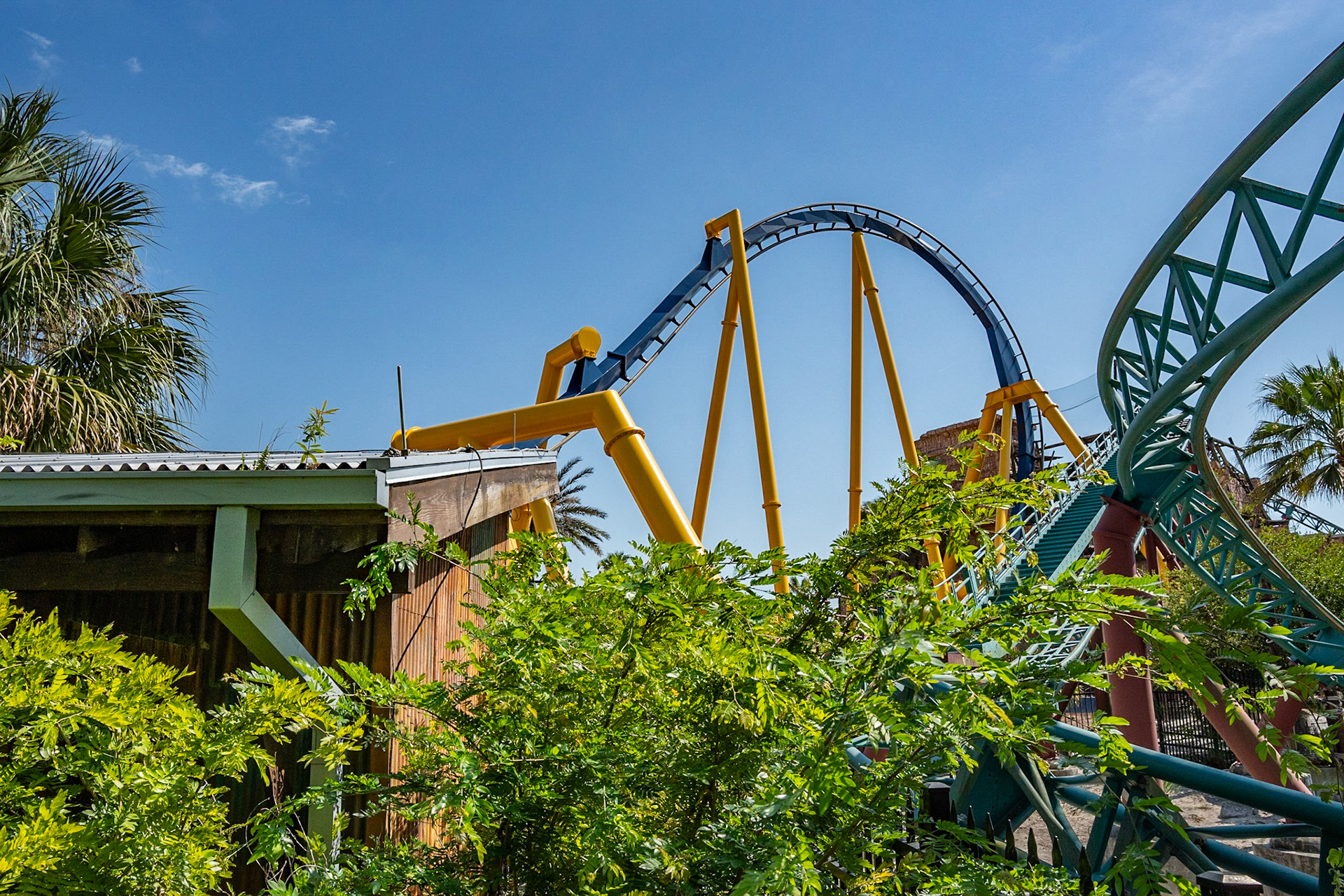 Photo by Jon Roost (www.jonroostphotos.com)