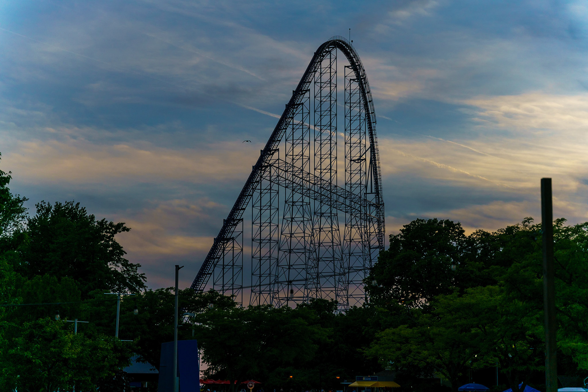 Photo by Jon Roost (www.jonroostphotos.com)
