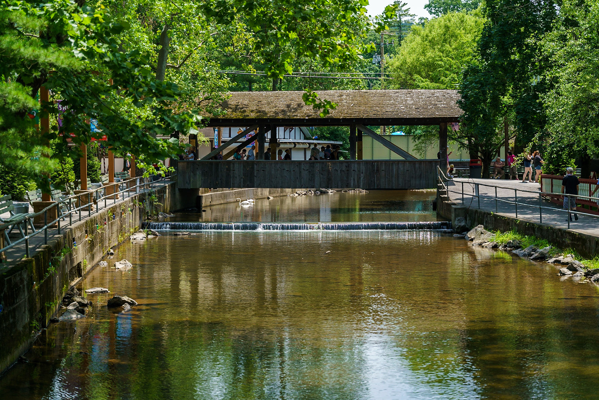 Photo by Jon Roost (www.jonroostphotos.com)