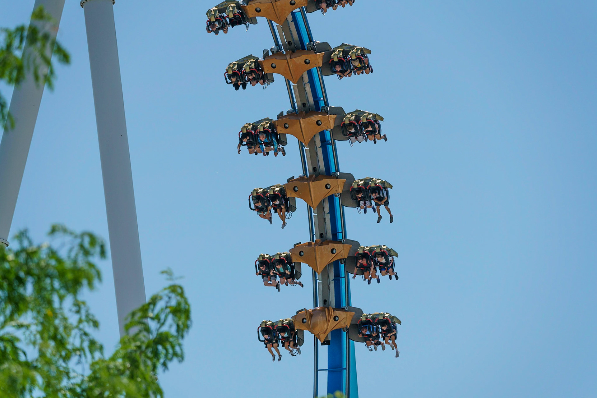 Photo by Jon Roost (www.jonroostphotos.com)