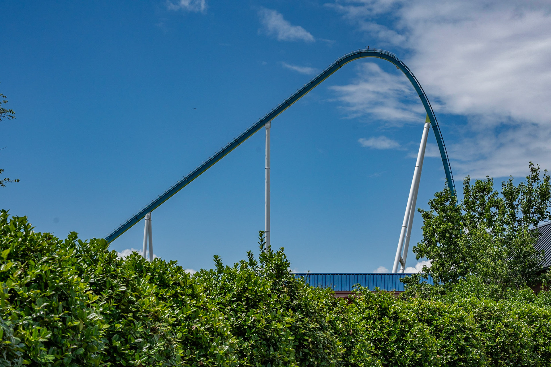 Photo by Jon Roost (www.jonroostphotos.com)