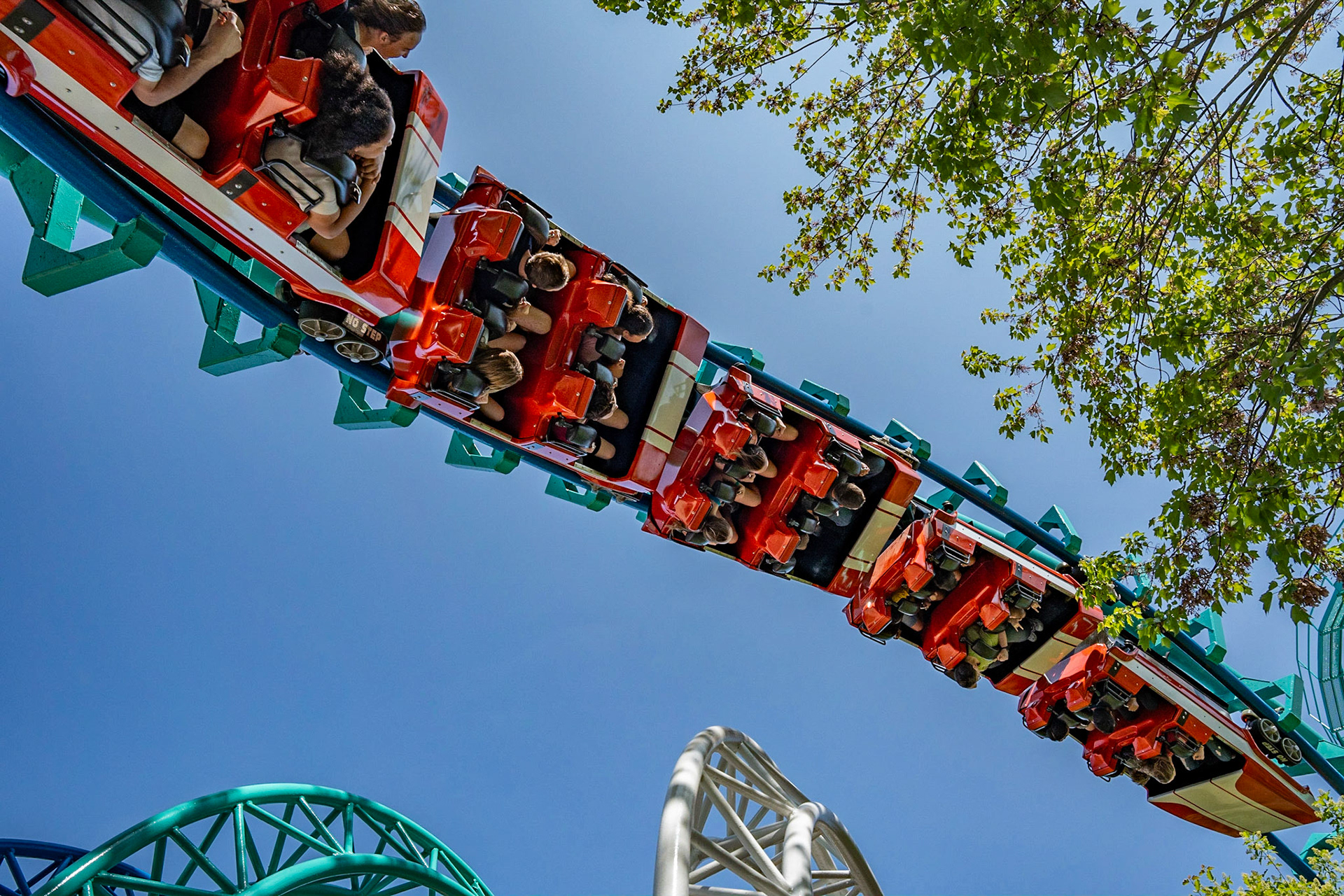 Photo by Jon Roost (www.jonroostphotos.com)