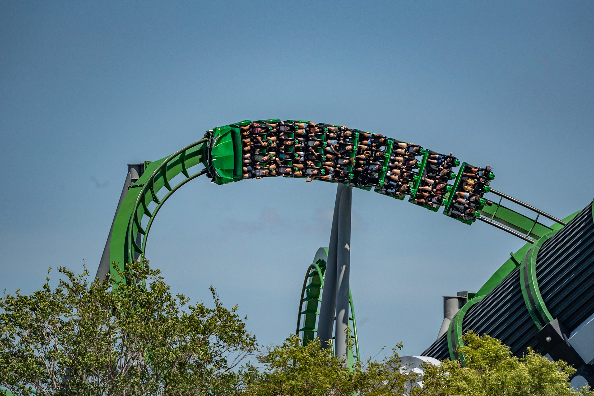 Photo by Jon Roost (www.jonroostphotos.com)