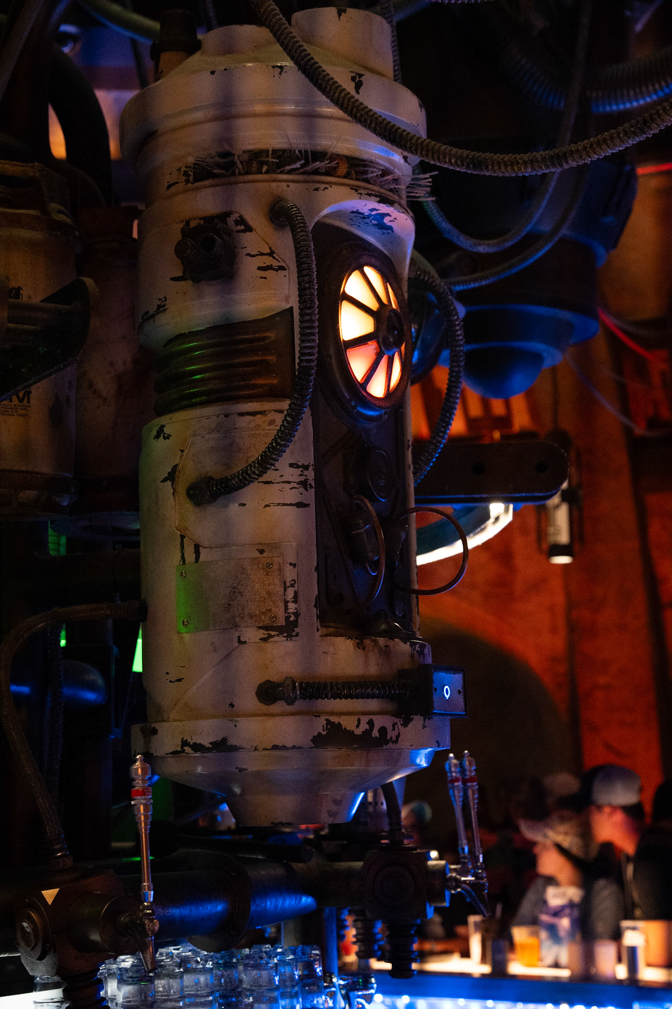 Photo by Jon Roost (www.jonroostphotos.com)