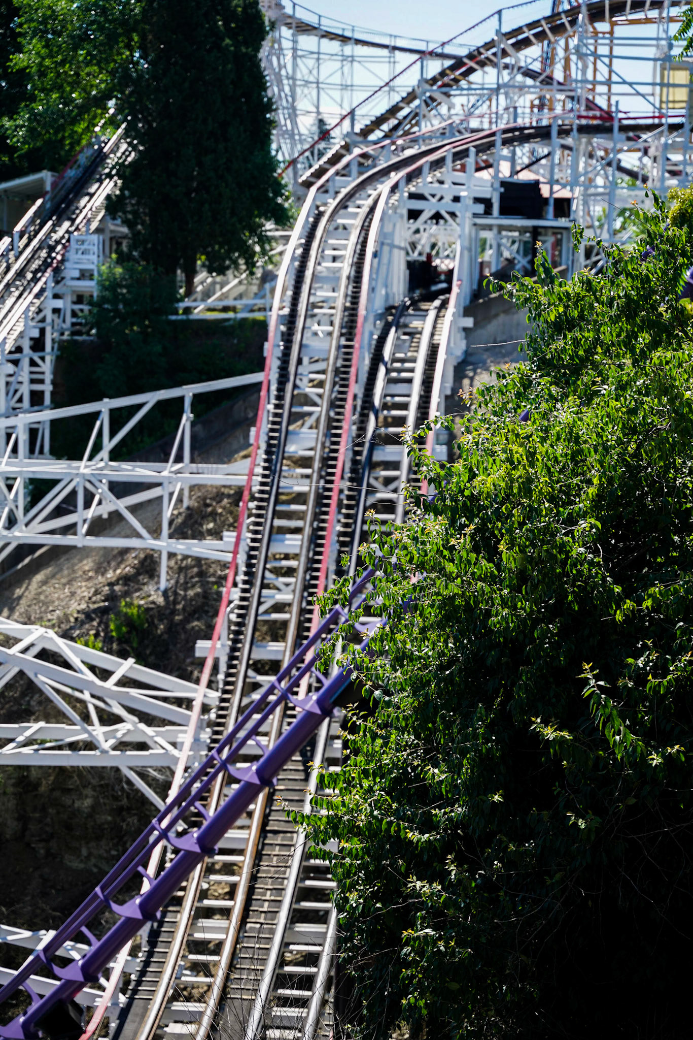 Photo by Jon Roost (www.jonroostphotos.com)