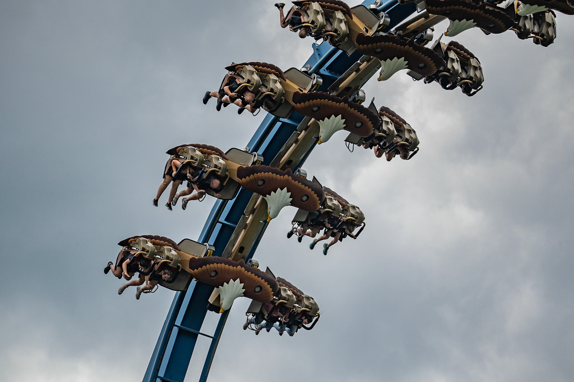 Photo by Jon Roost (www.jonroostphotos.com)