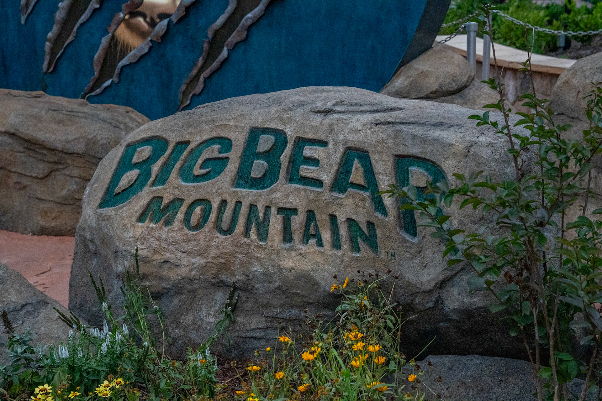 Photo by Jon Roost (www.jonroostphotos.com)