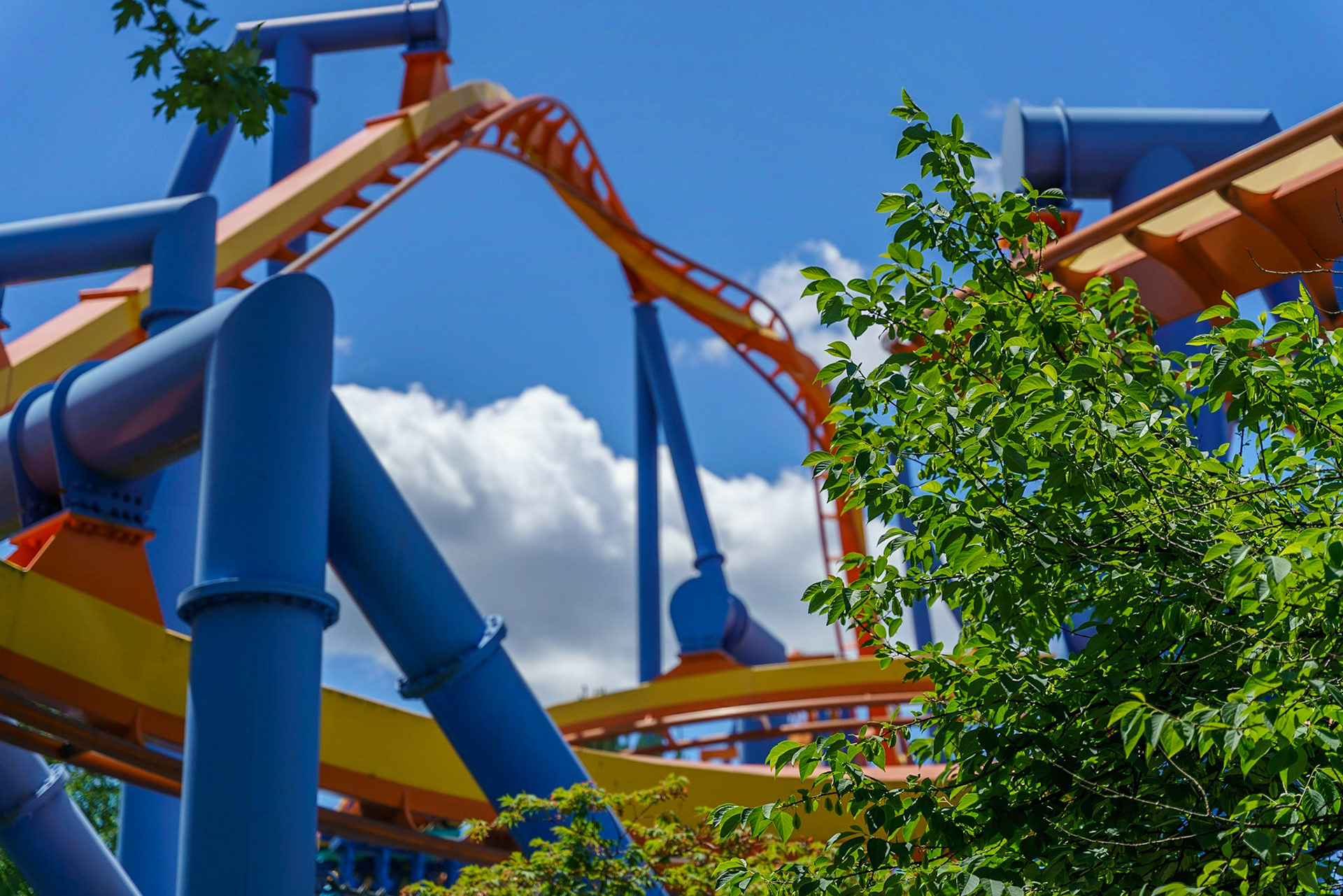 Photo by Jon Roost (www.jonroostphotos.com)