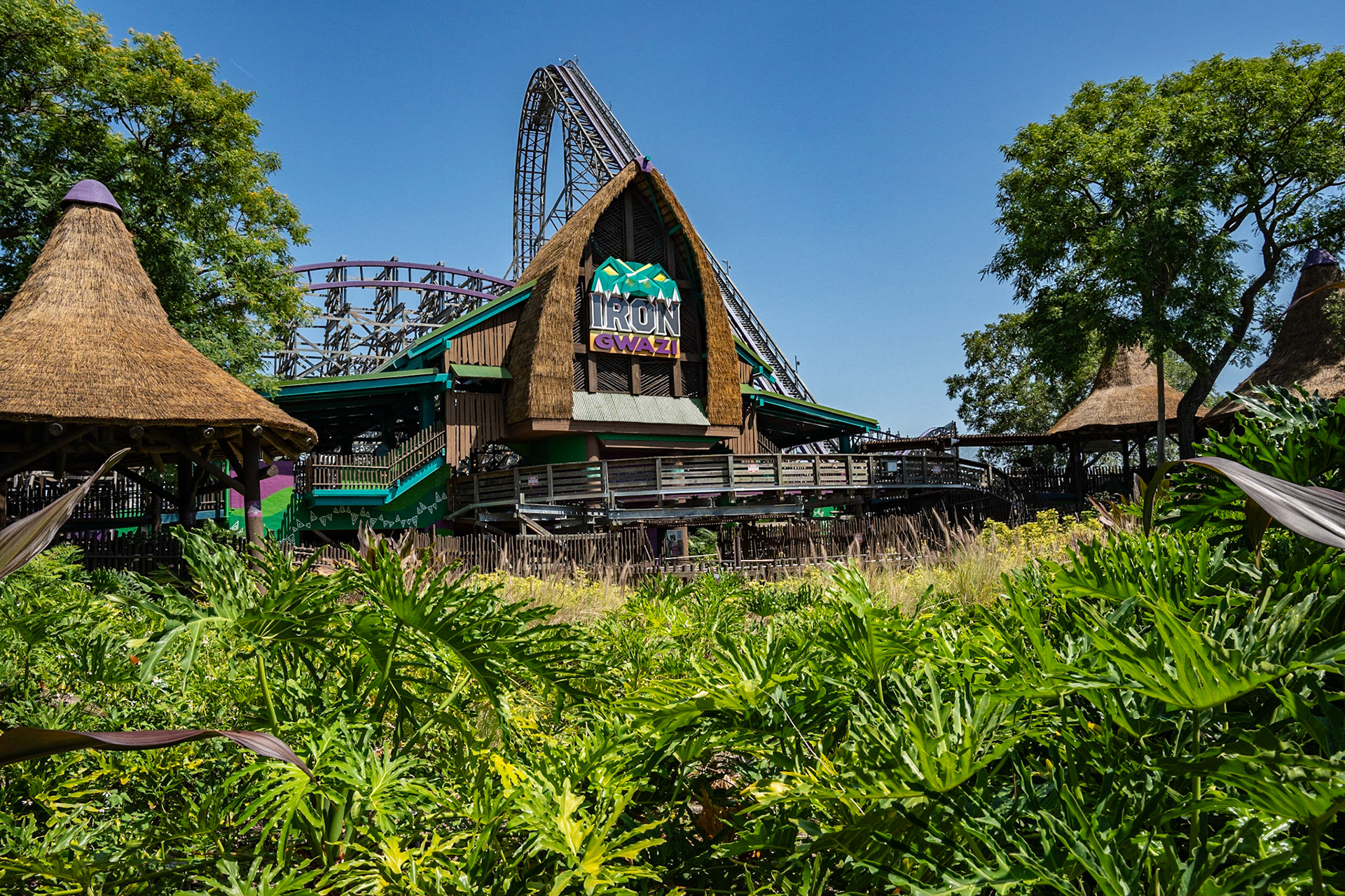 Photo by Jon Roost (www.jonroostphotos.com)