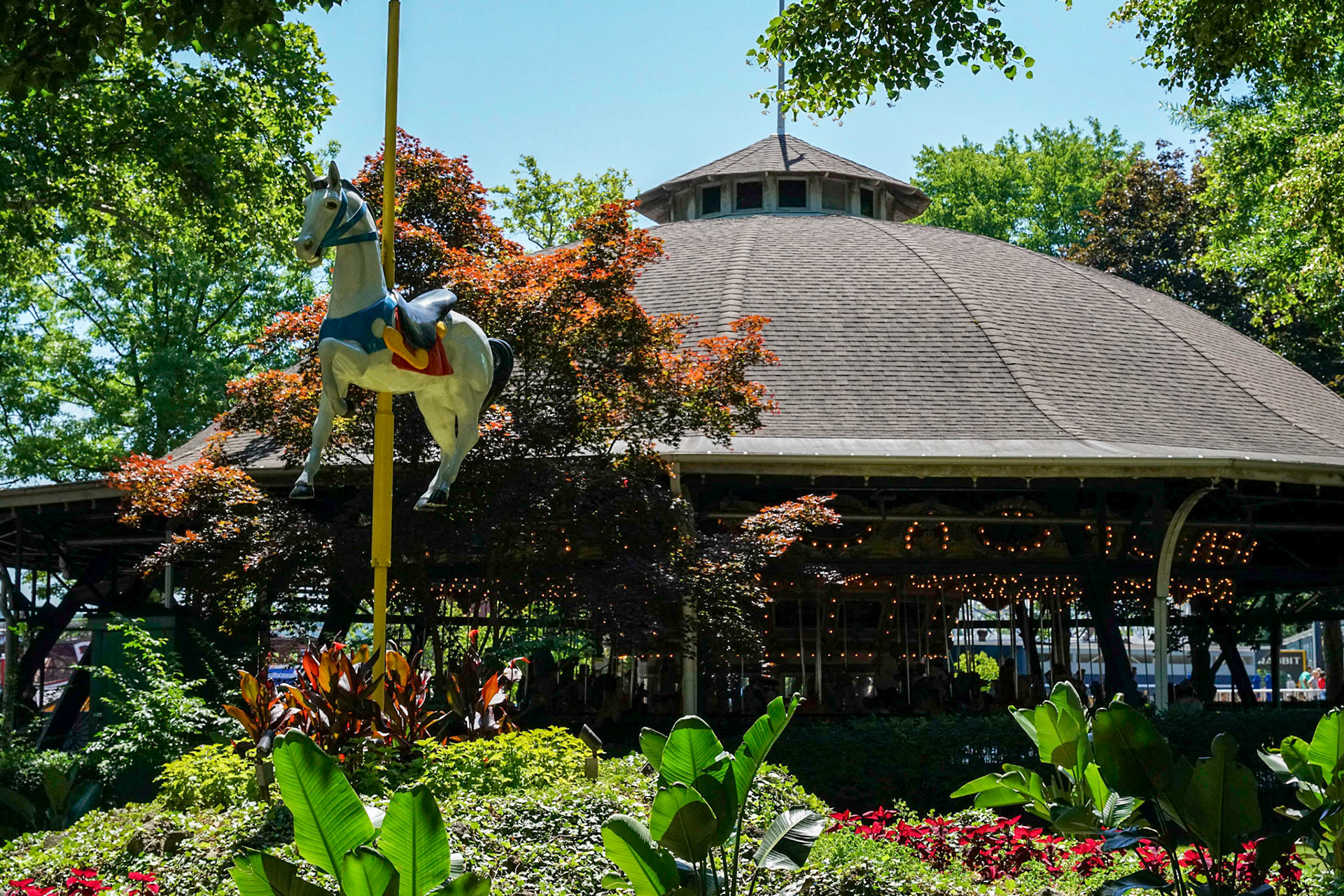 Photo by Jon Roost (www.jonroostphotos.com)