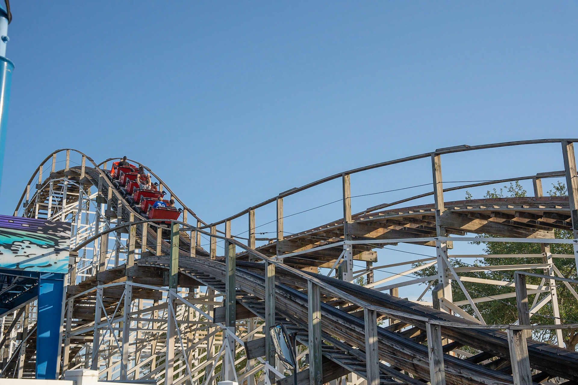 Photo by Jon Roost (www.jonroostphotos.com)