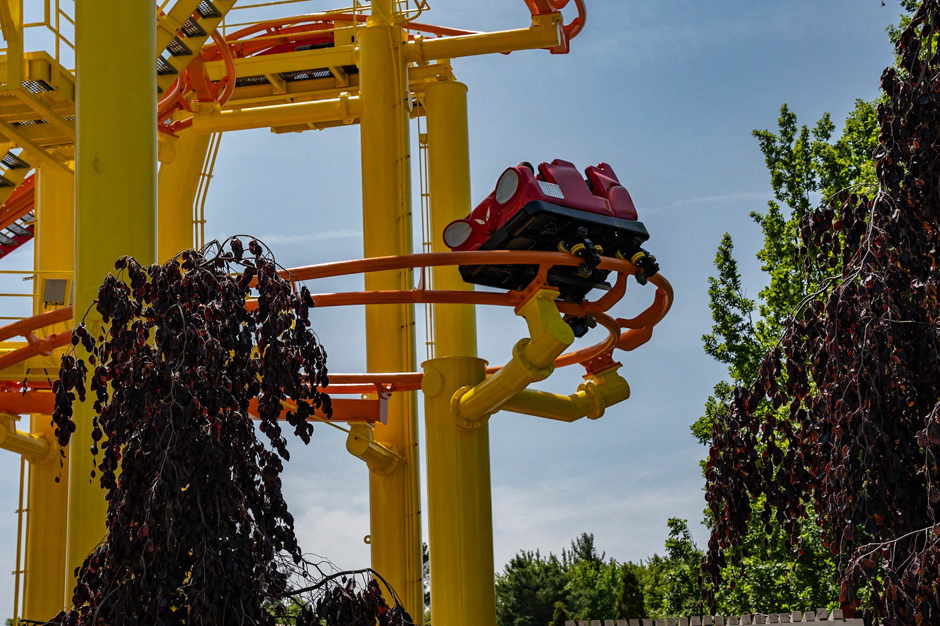 Photo by Jon Roost (www.jonroostphotos.com)