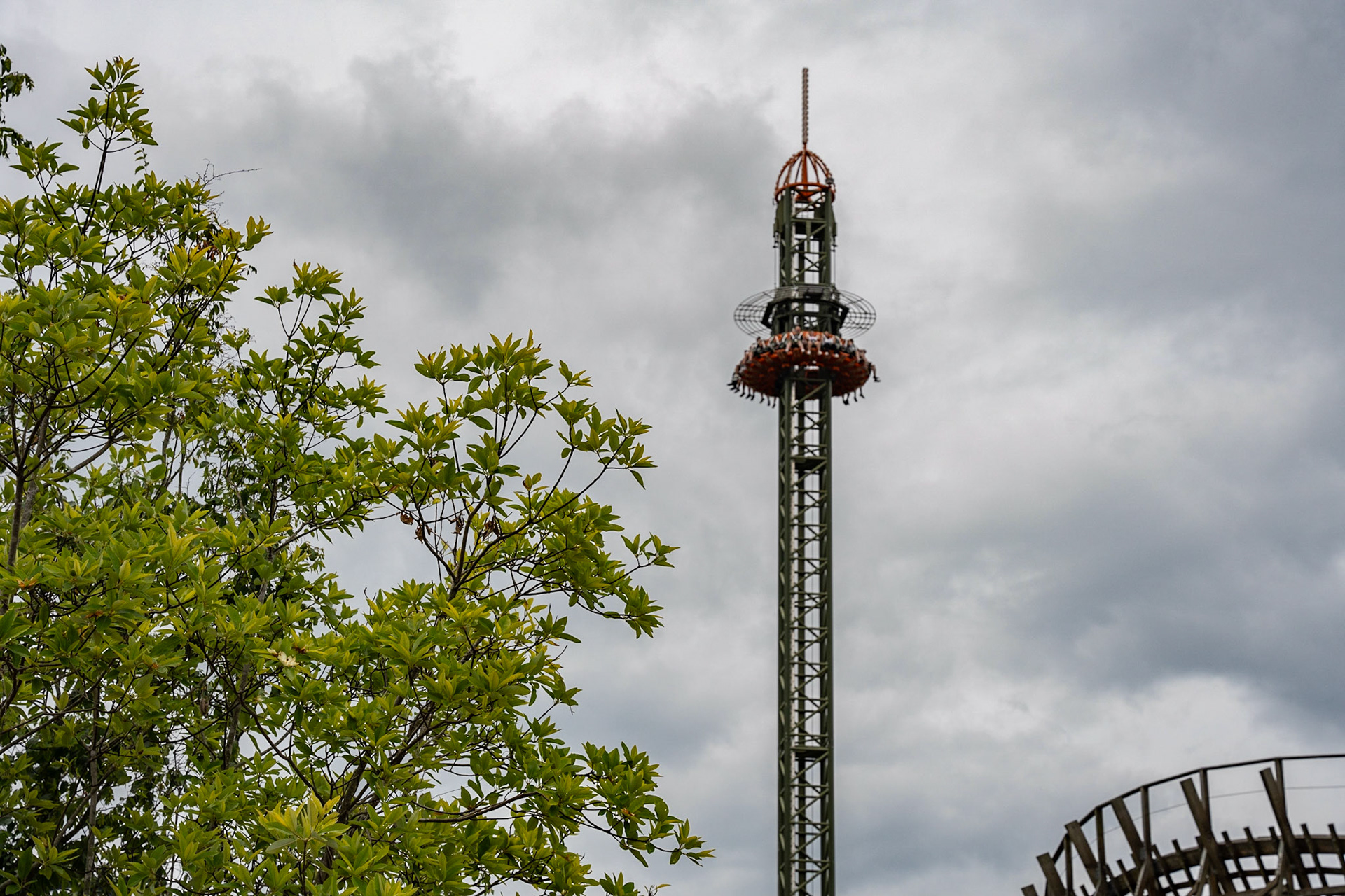 Photo by Jon Roost (www.jonroostphotos.com)