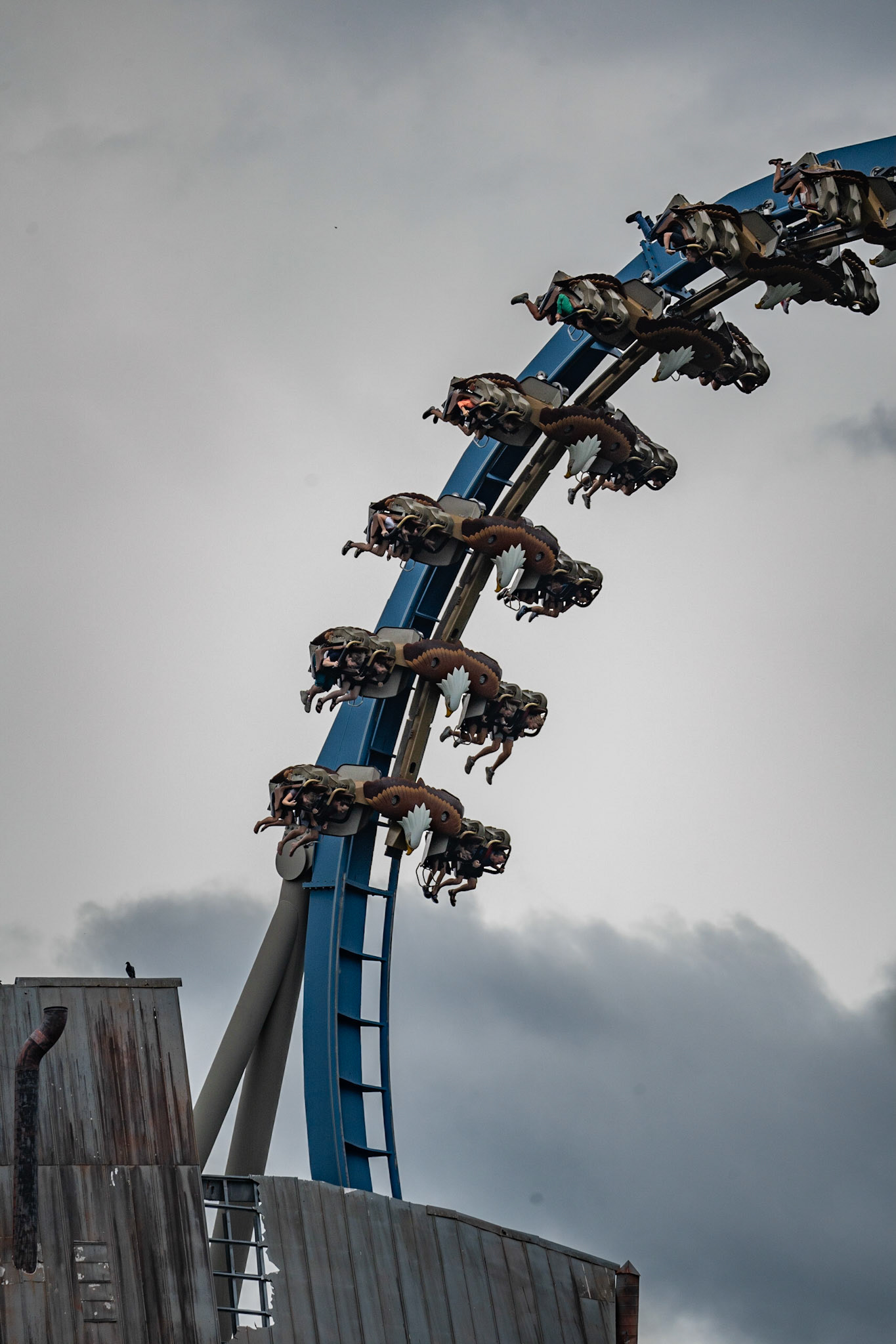 Photo by Jon Roost (www.jonroostphotos.com)