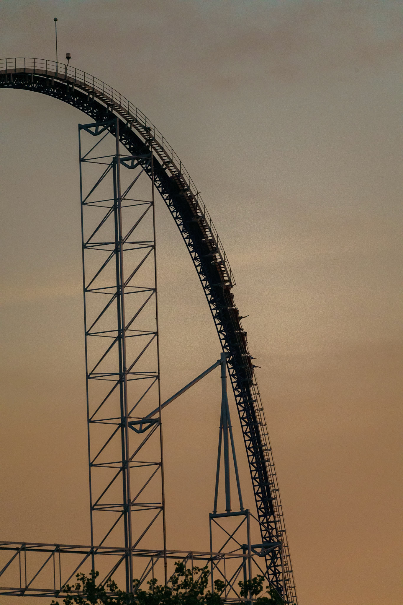 Photo by Jon Roost (www.jonroostphotos.com)