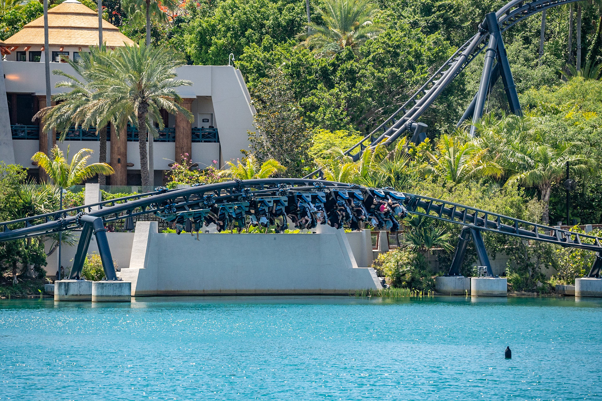 Photo by Jon Roost (www.jonroostphotos.com)