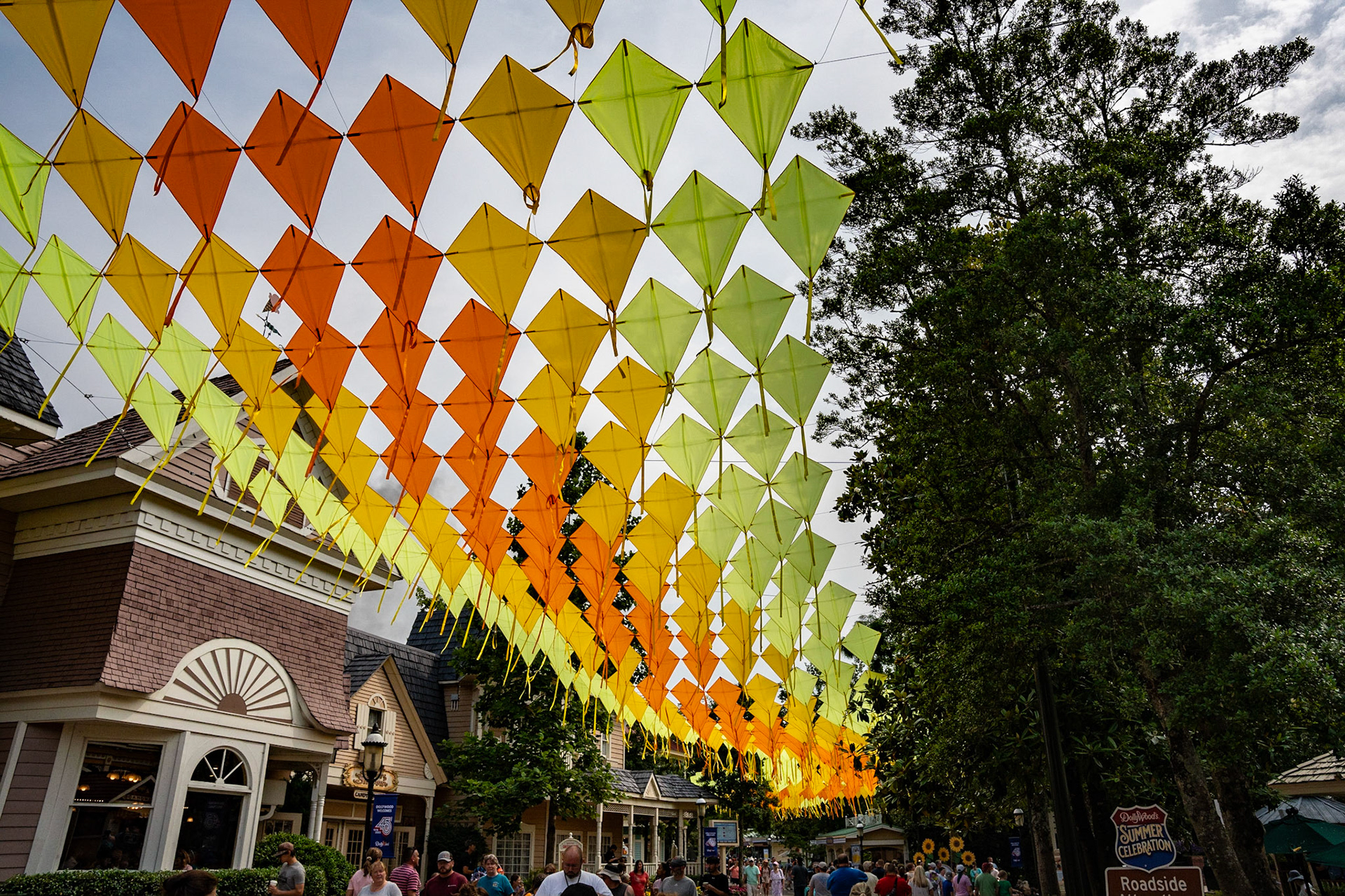 Photo by Jon Roost (www.jonroostphotos.com)