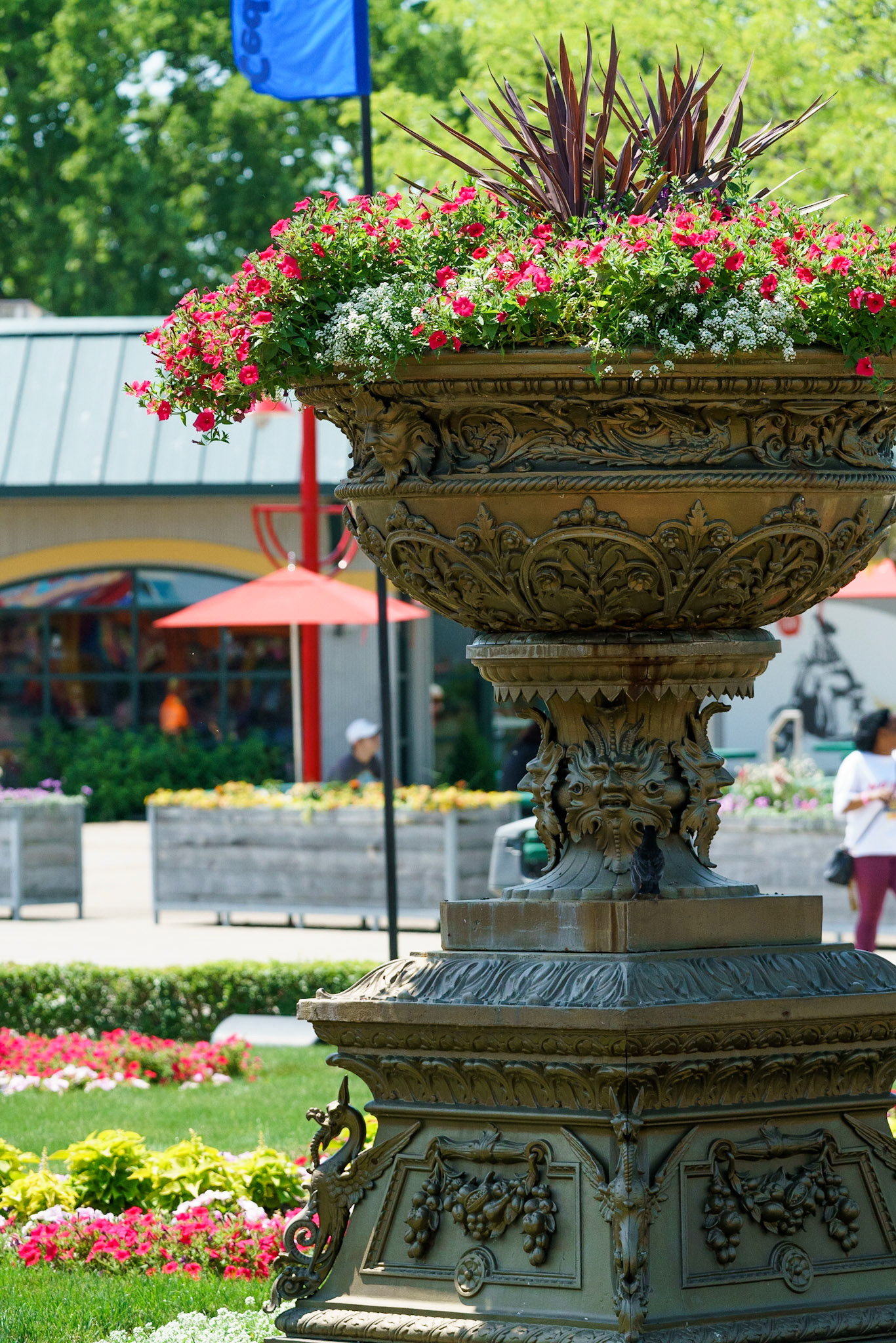 Photo by Jon Roost (www.jonroostphotos.com)