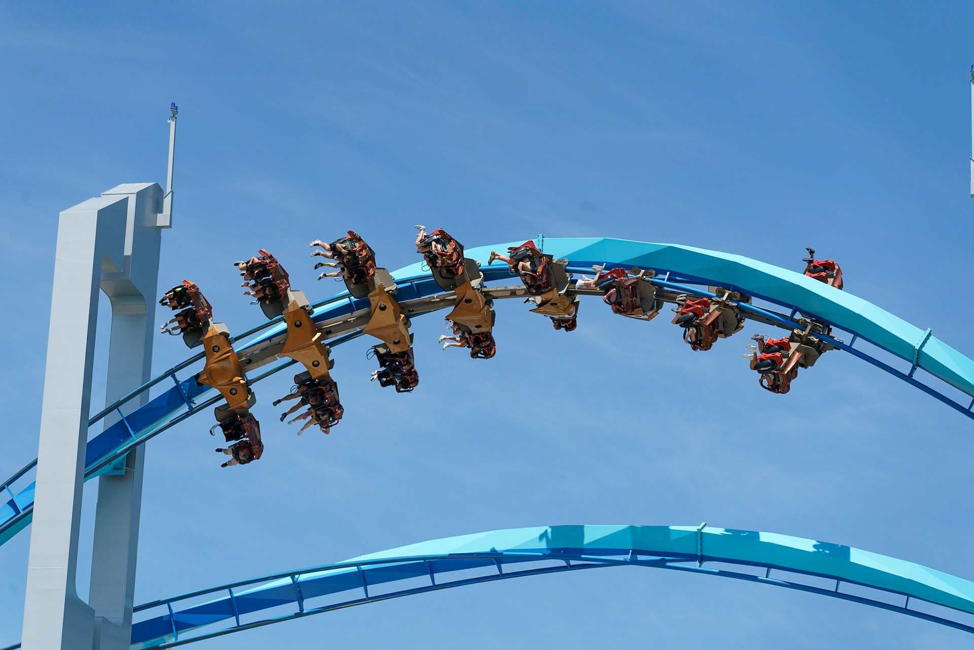 Photo by Jon Roost (www.jonroostphotos.com)