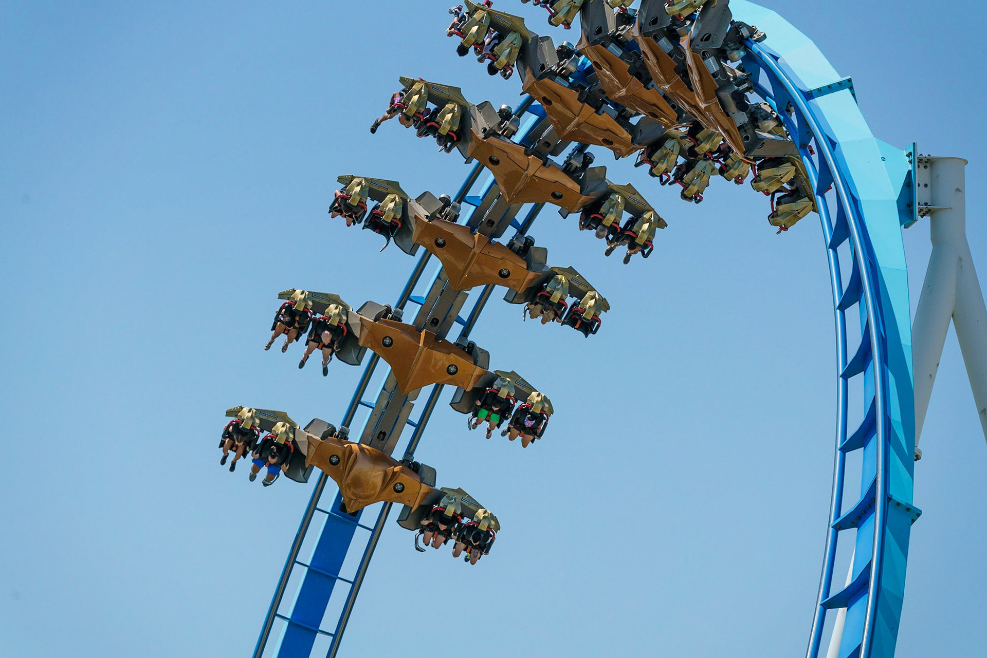 Photo by Jon Roost (www.jonroostphotos.com)