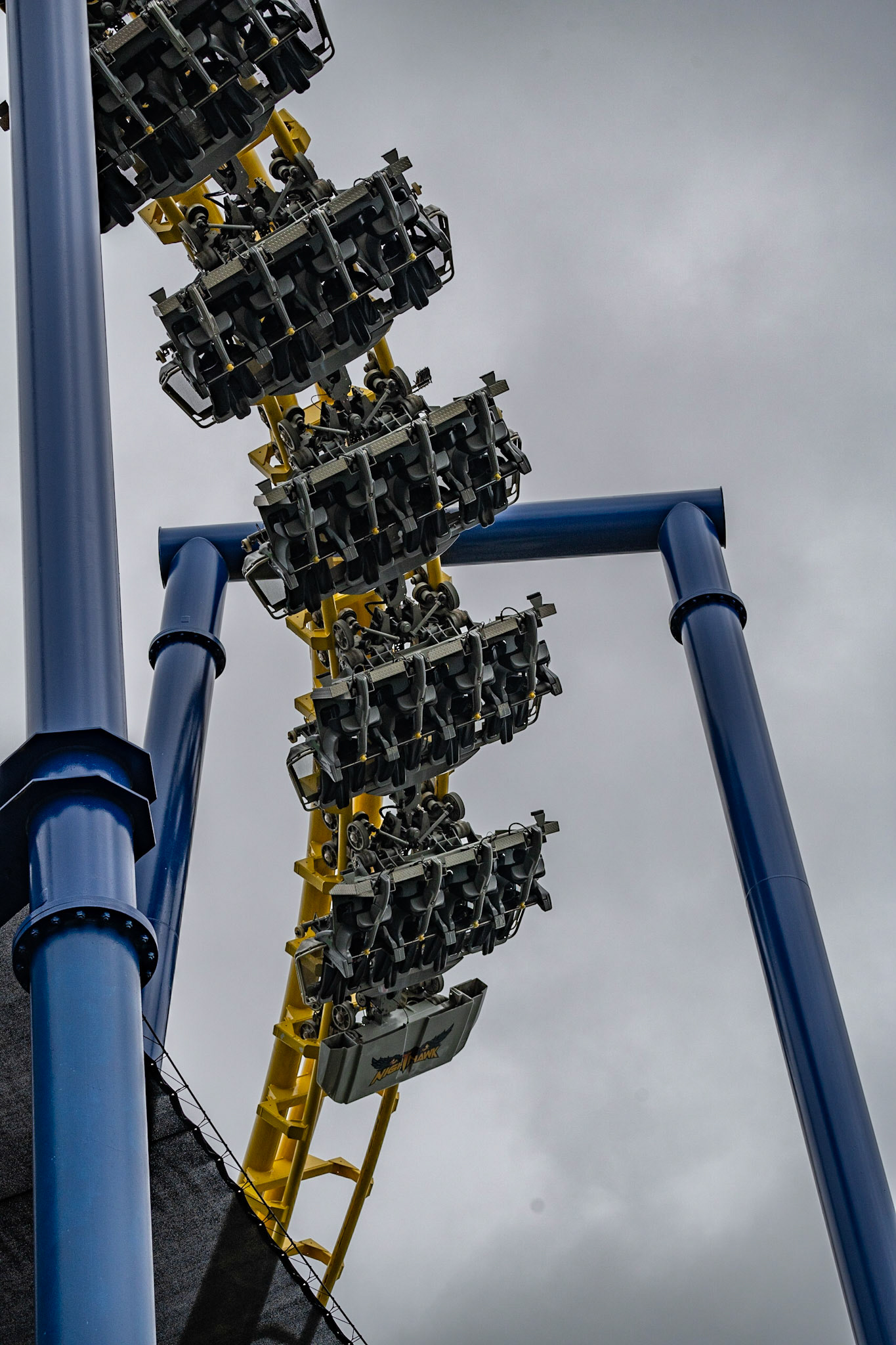 Photo by Jon Roost (www.jonroostphotos.com)