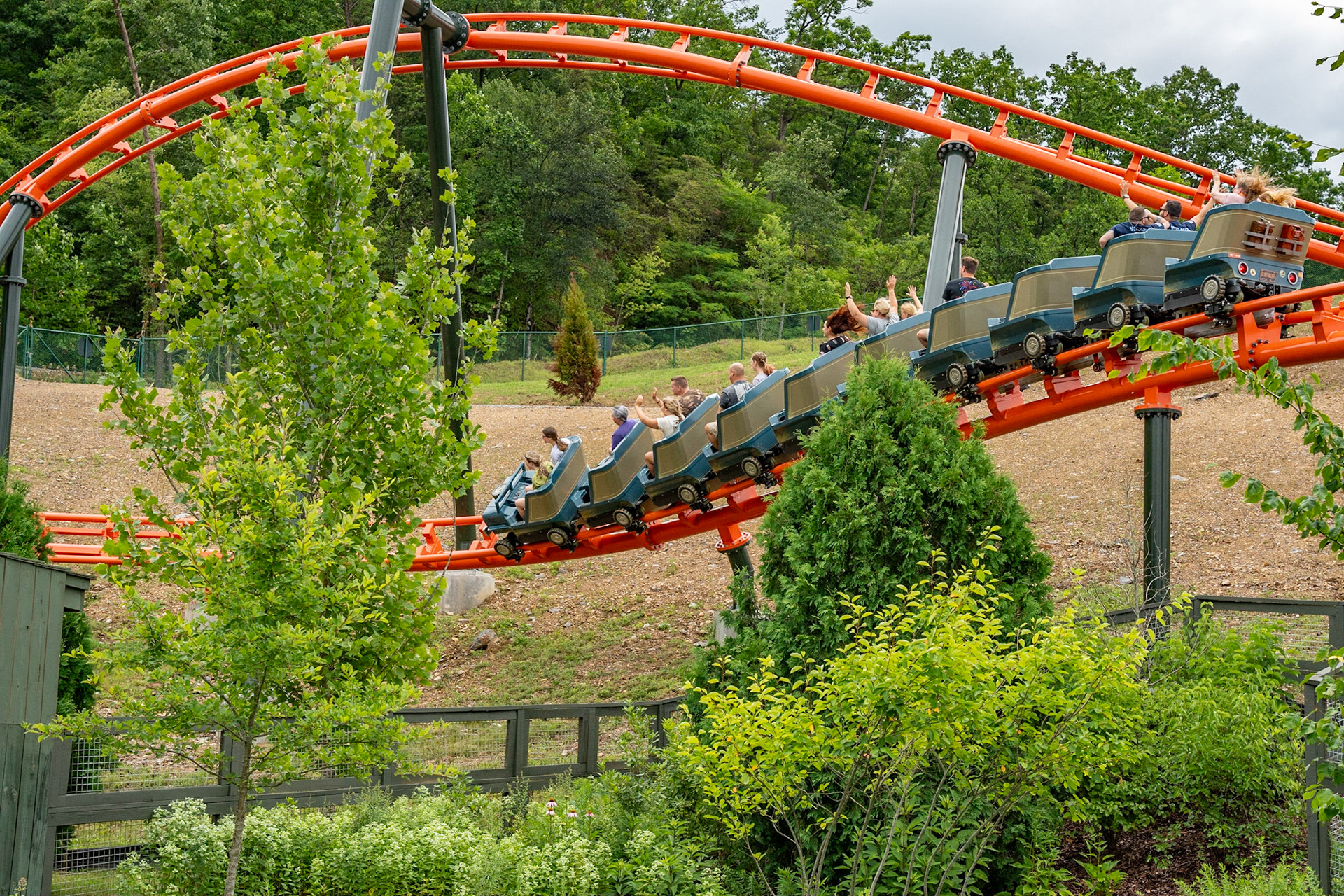 Photo by Jon Roost (www.jonroostphotos.com)