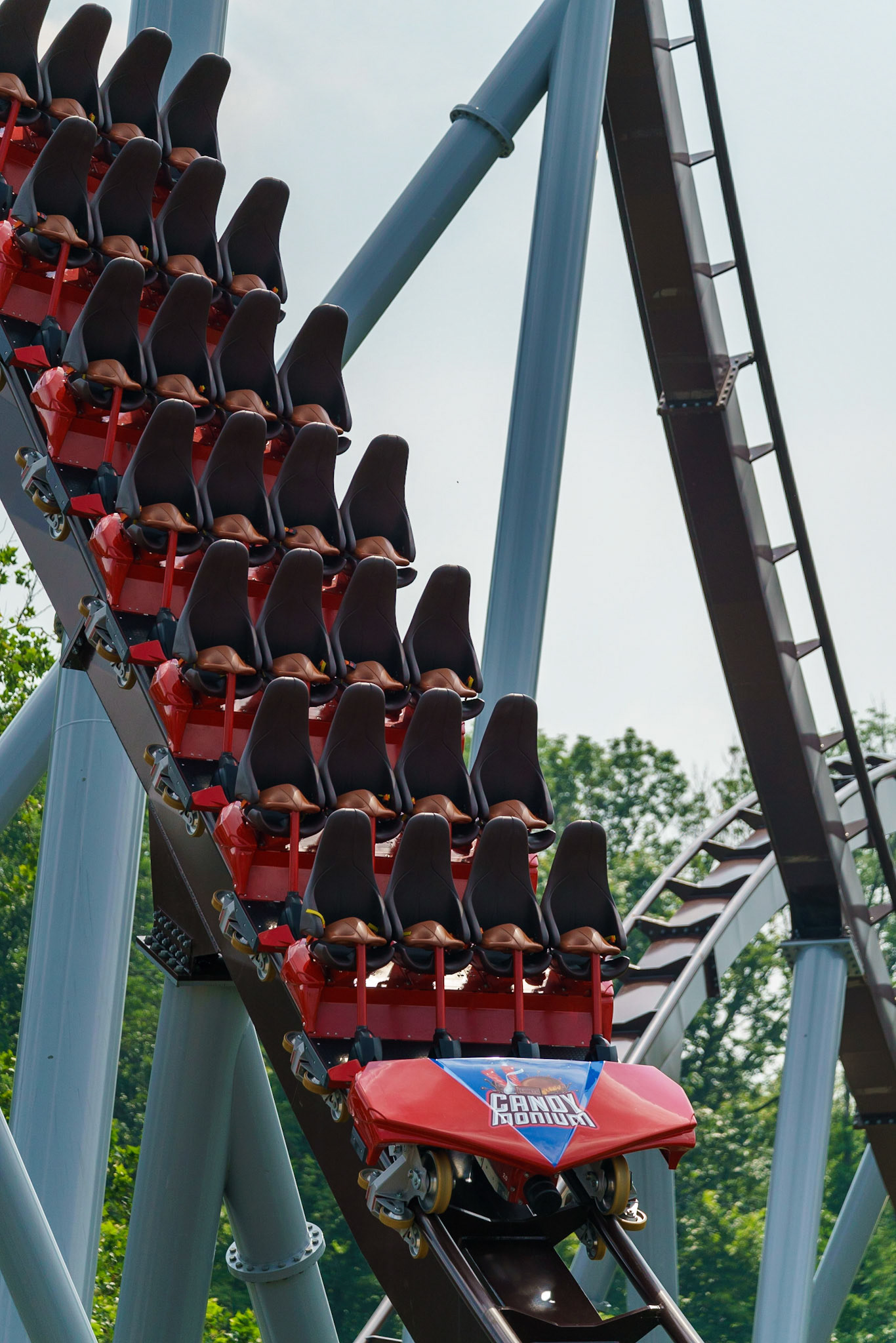 Photo by Jon Roost (www.jonroostphotos.com)