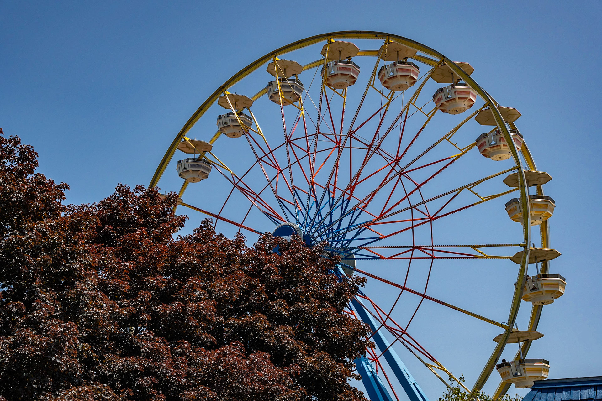 Photo by Jon Roost (www.jonroostphotos.com)