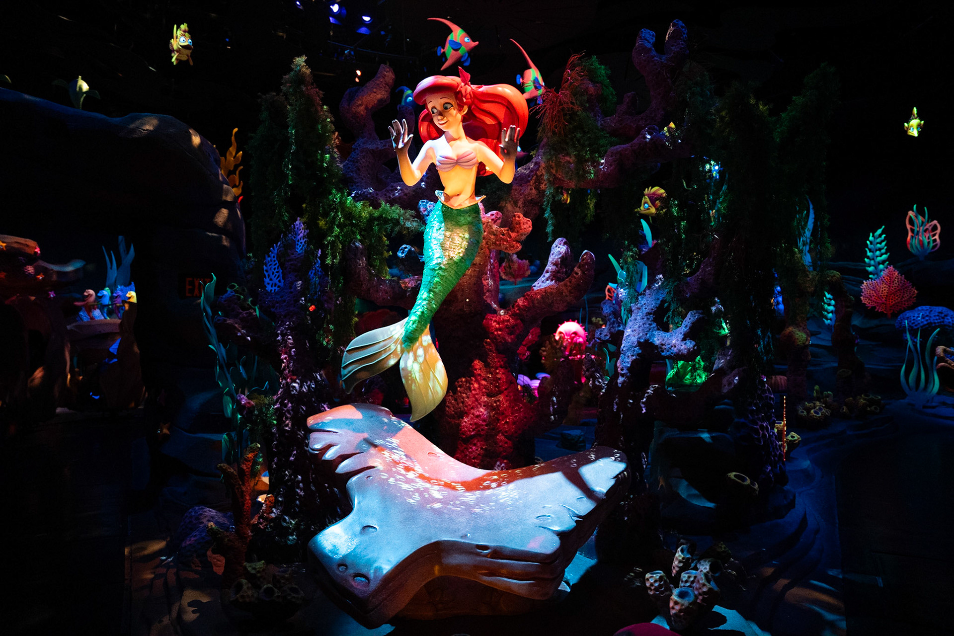 Photo by Jon Roost (www.jonroostphotos.com)