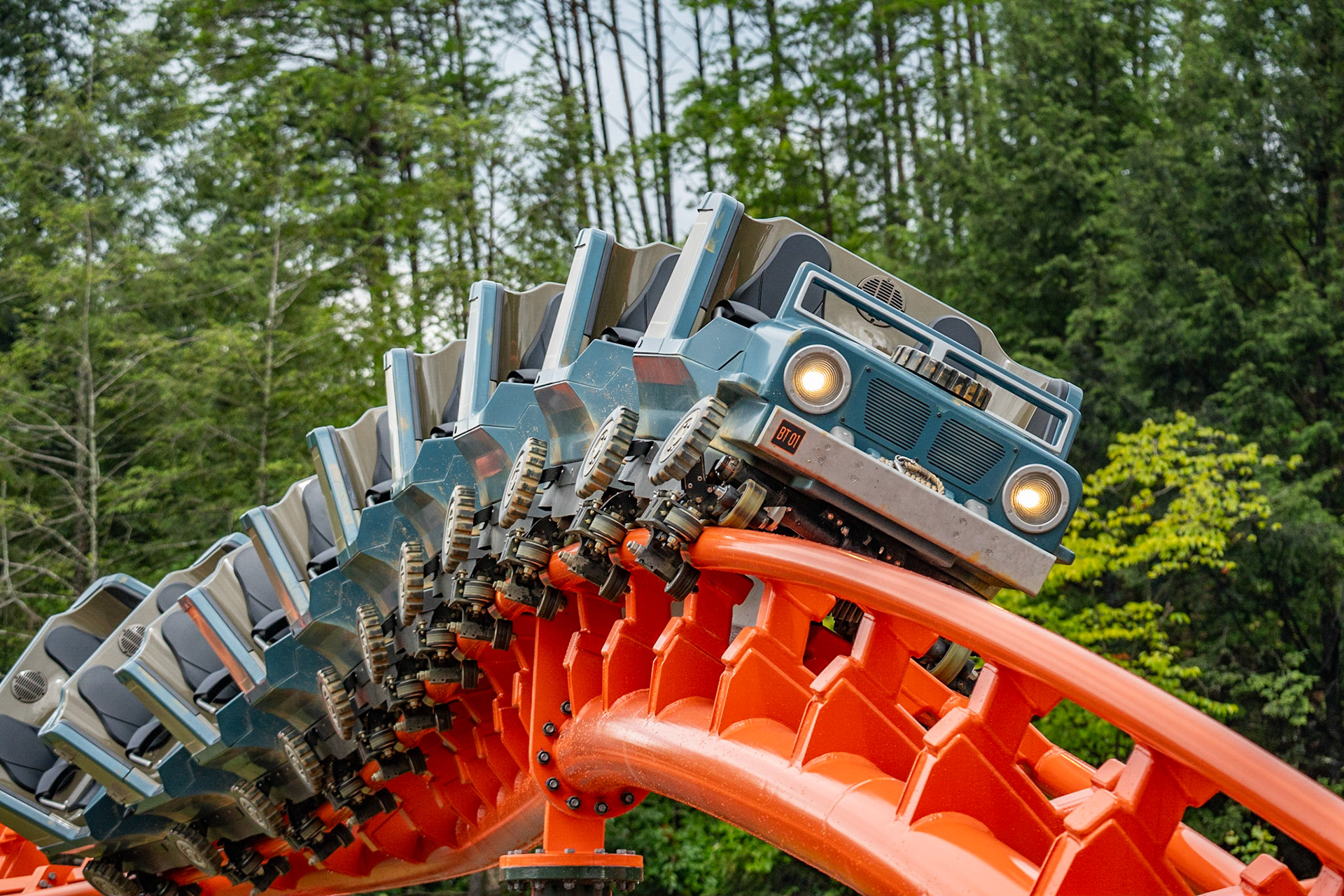 Photo by Jon Roost (www.jonroostphotos.com)