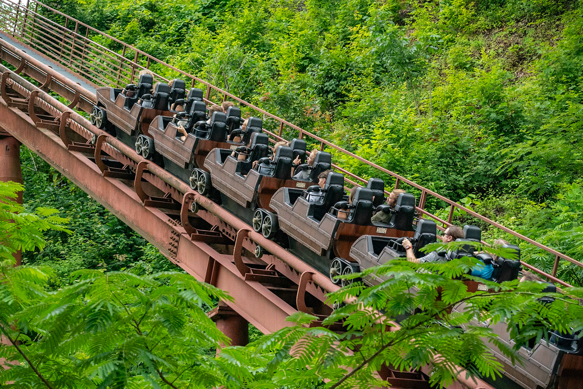 Photo by Jon Roost (www.jonroostphotos.com)