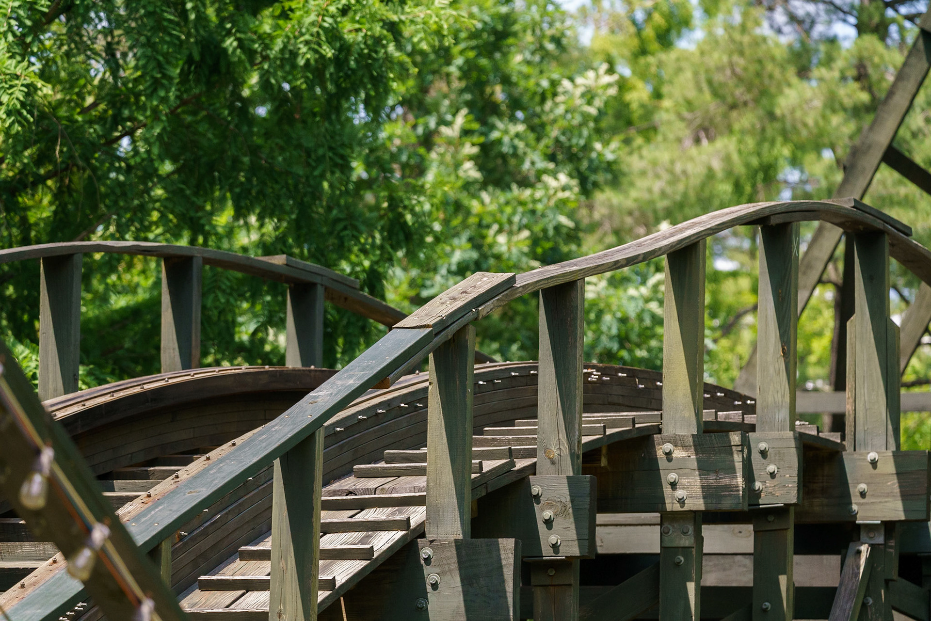 Photo by Jon Roost (www.jonroostphotos.com)