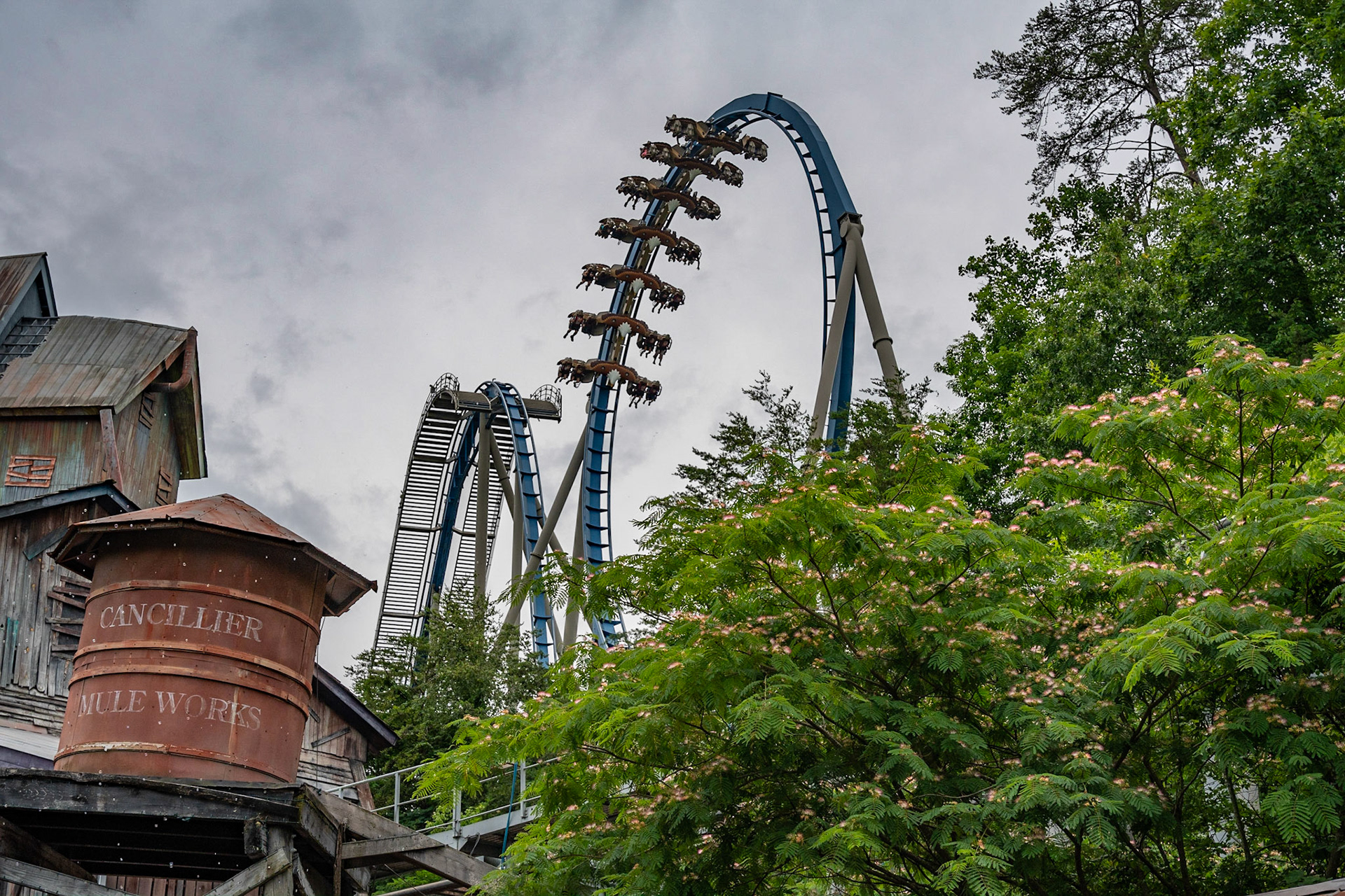 Photo by Jon Roost (www.jonroostphotos.com)