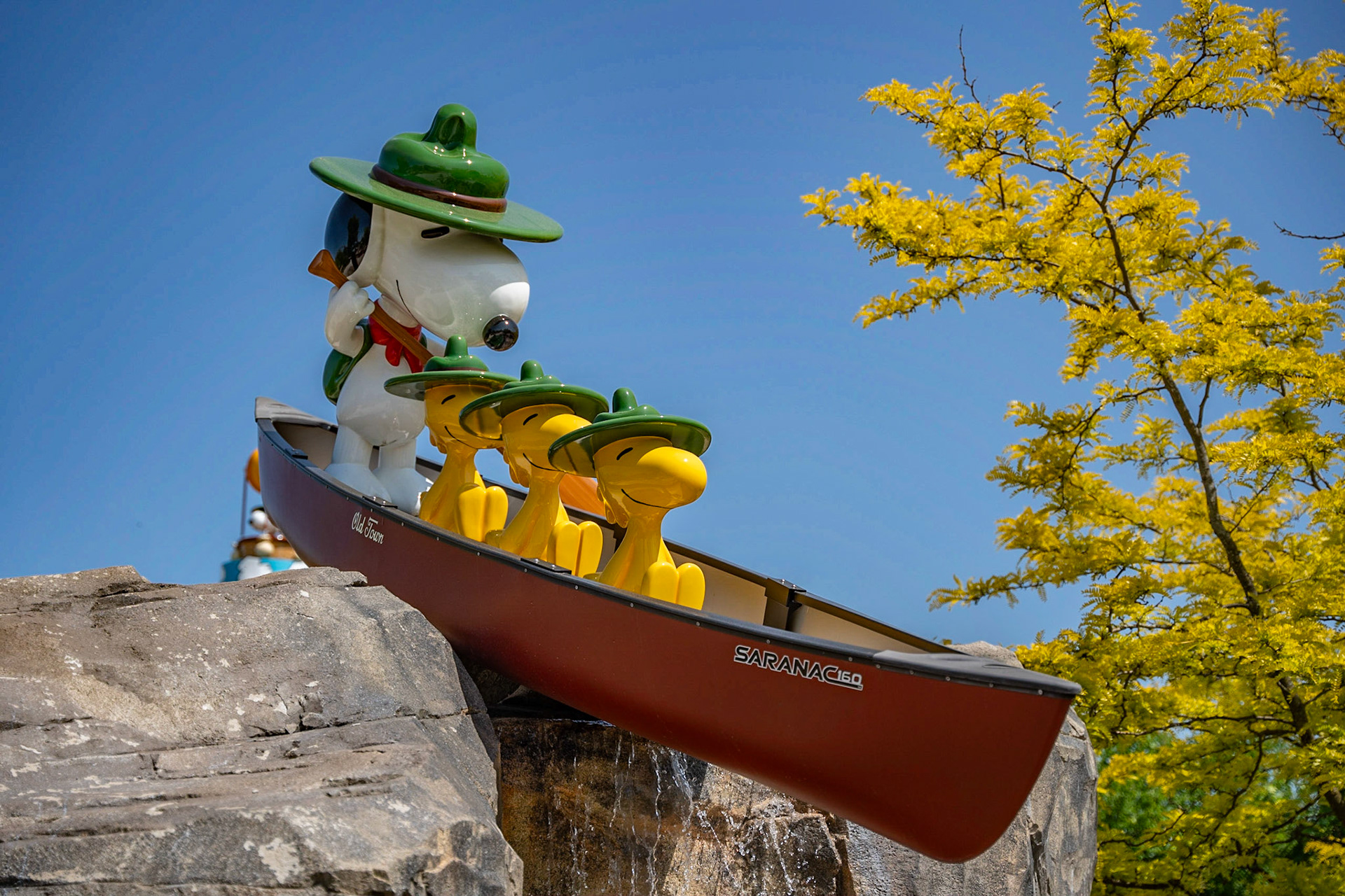 Photo by Jon Roost (www.jonroostphotos.com)