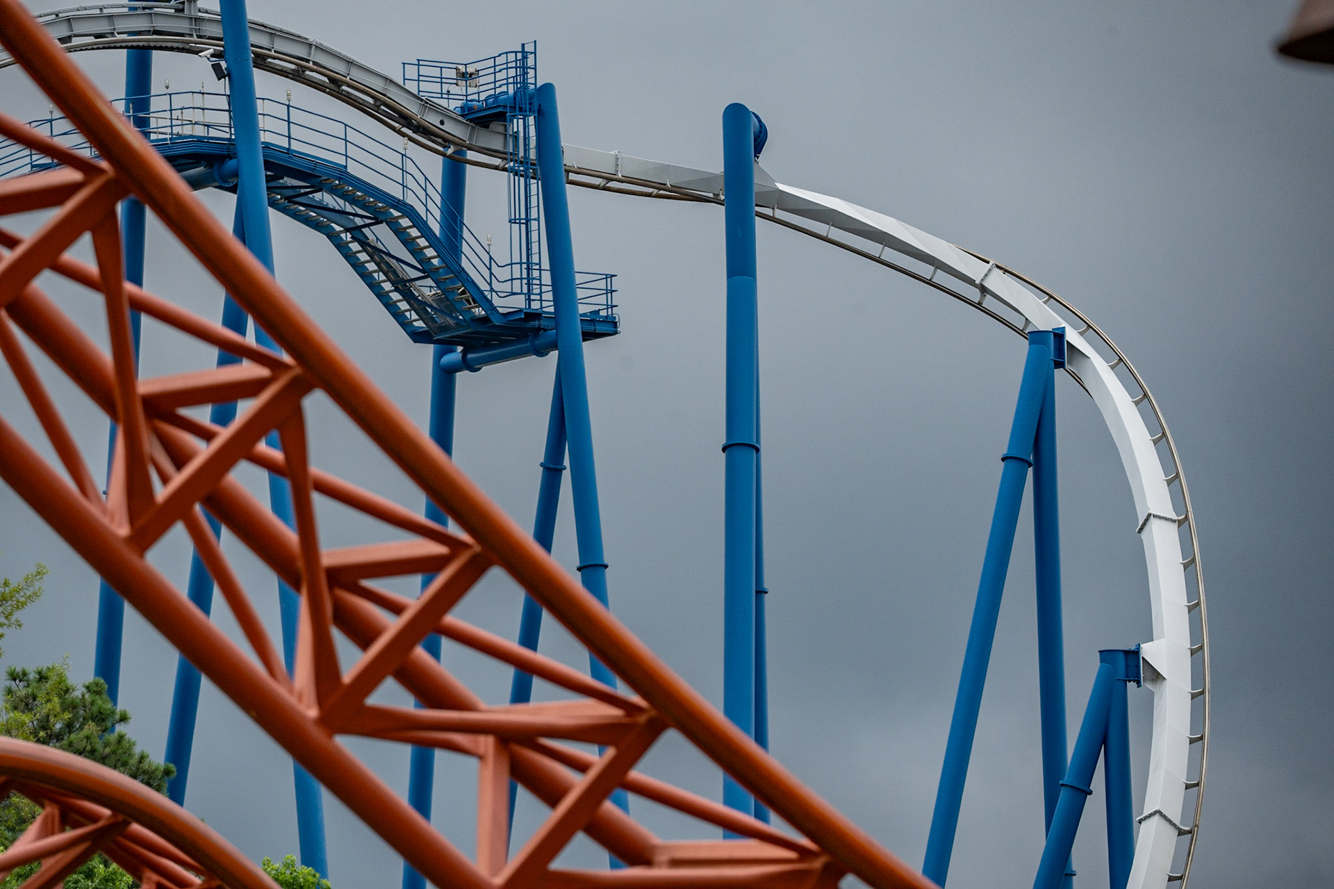 Photo by Jon Roost (www.jonroostphotos.com)