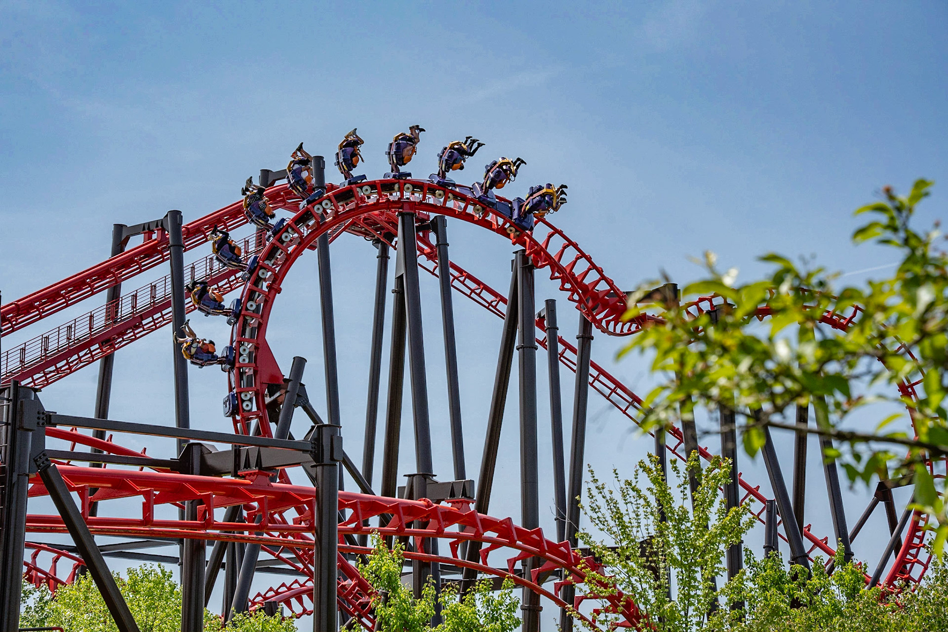 Photo by Jon Roost (www.jonroostphotos.com)